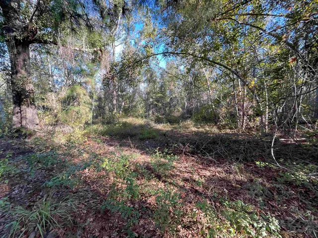 $188,400 | 129 Northwest Jasper, Jasper, FL 32052