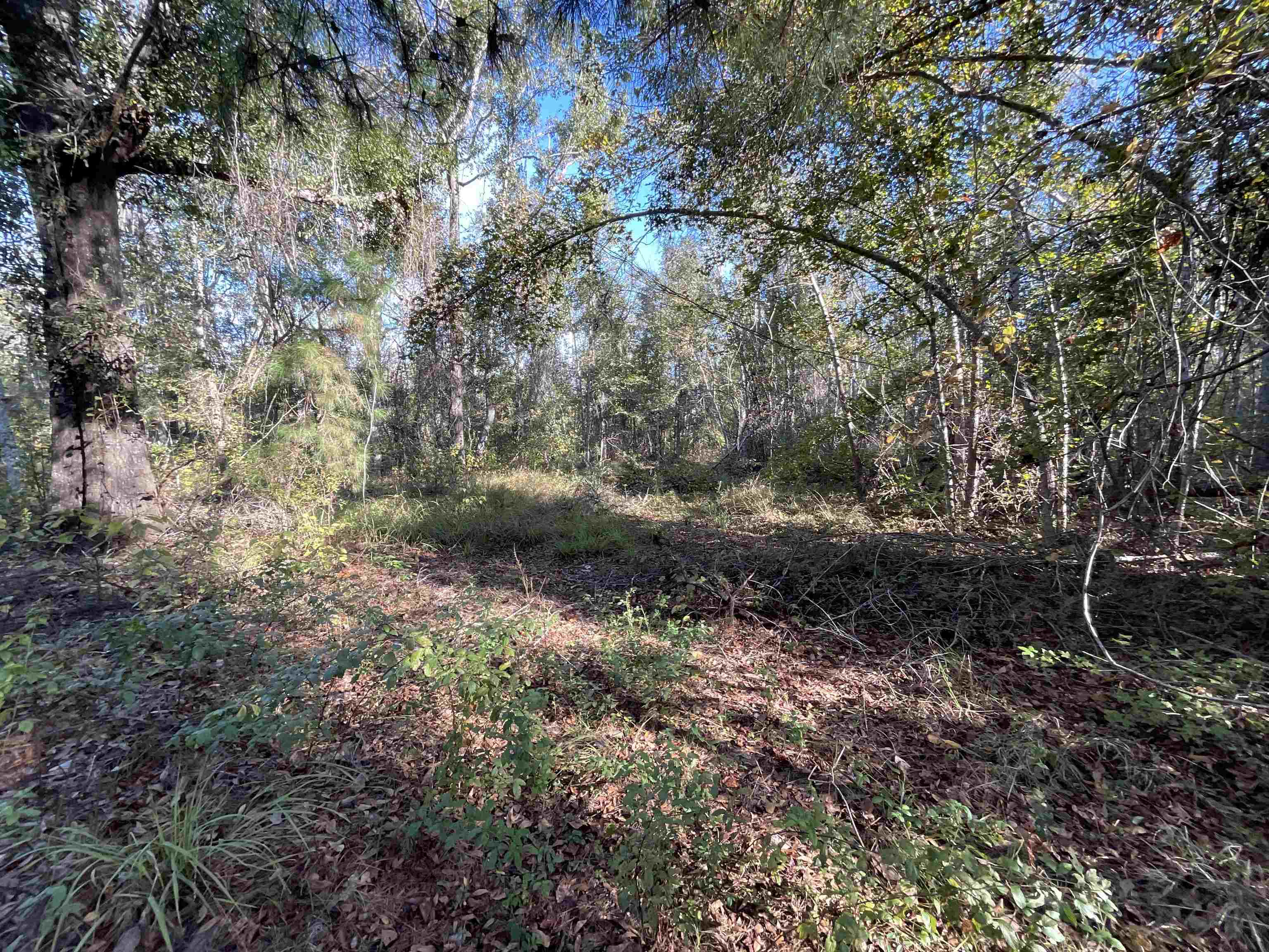 129 Northwest Jasper Jasper, FL 32052 - Photo 2 of 70