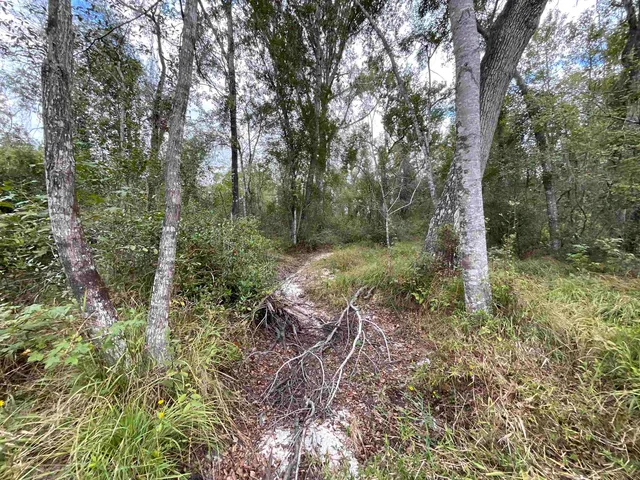 $188,400 | 129 Northwest Jasper, Jasper, FL 32052