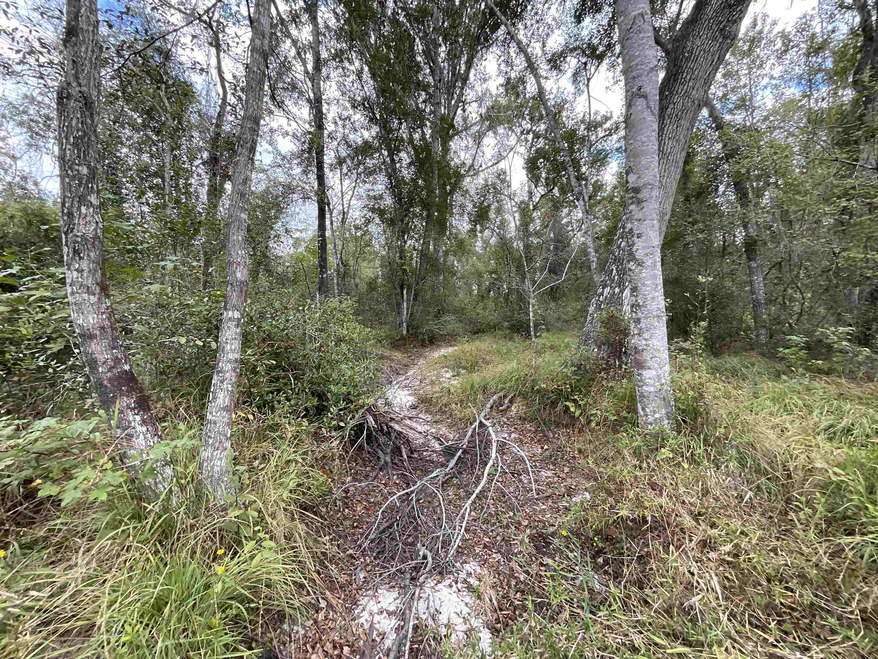 129 Northwest Jasper Jasper, FL 32052 - Photo 21 of 70