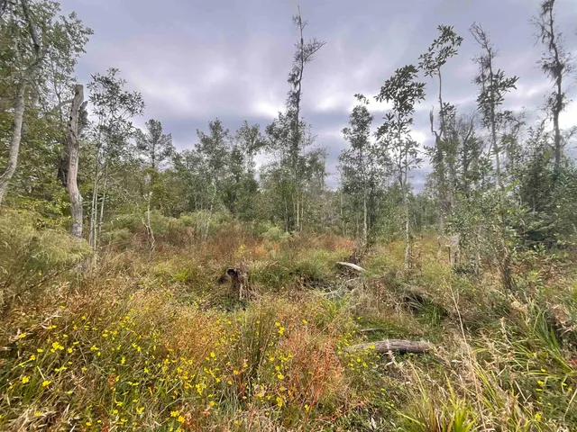 $188,400 | 129 Northwest Jasper, Jasper, FL 32052