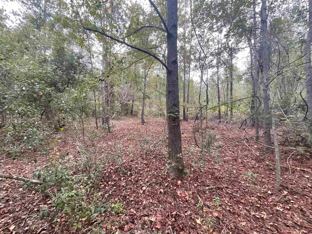 $188,400 | 129 Northwest Jasper, Jasper, FL 32052