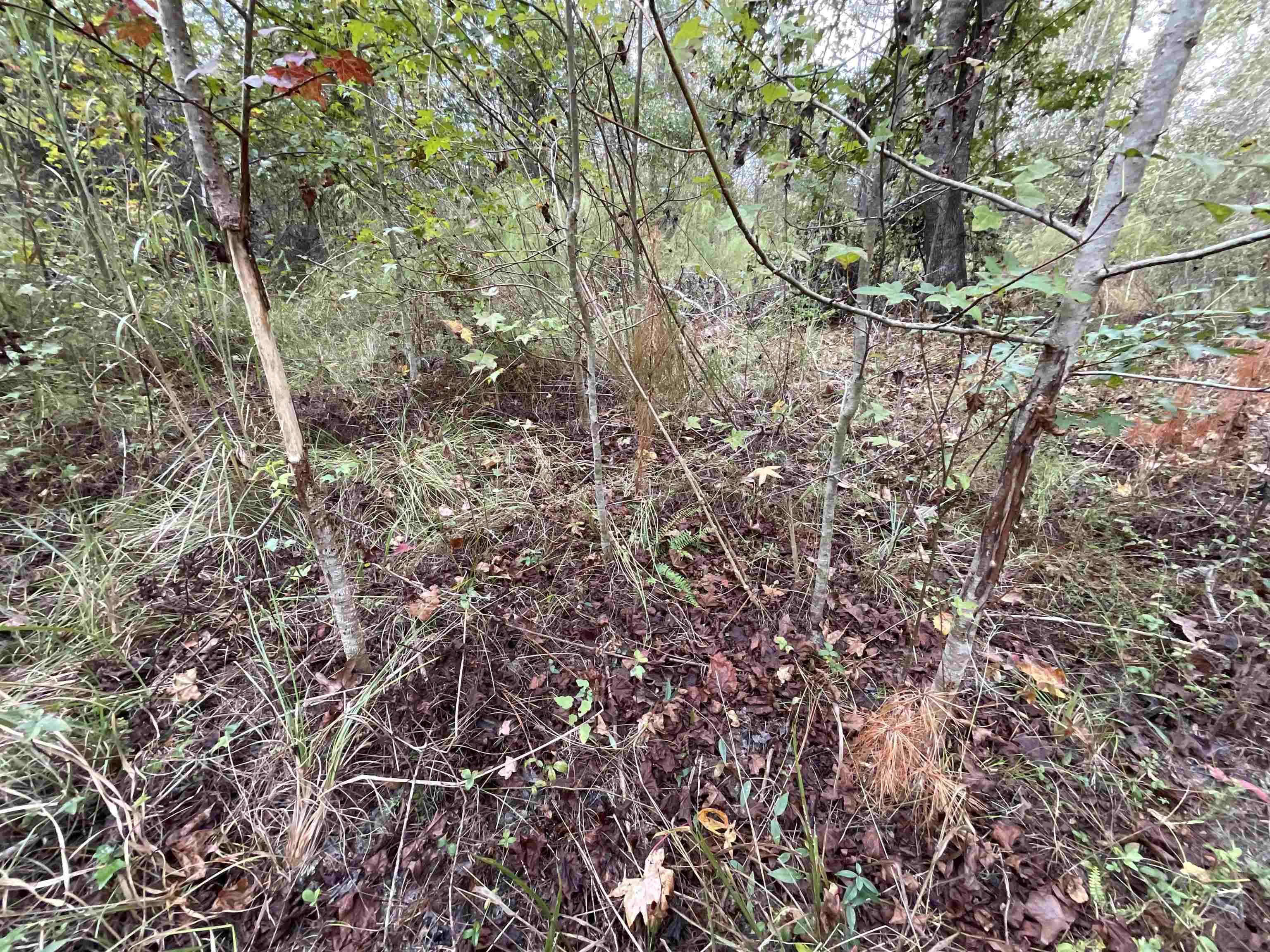 129 Northwest Jasper Jasper, FL 32052 - Photo 24 of 70