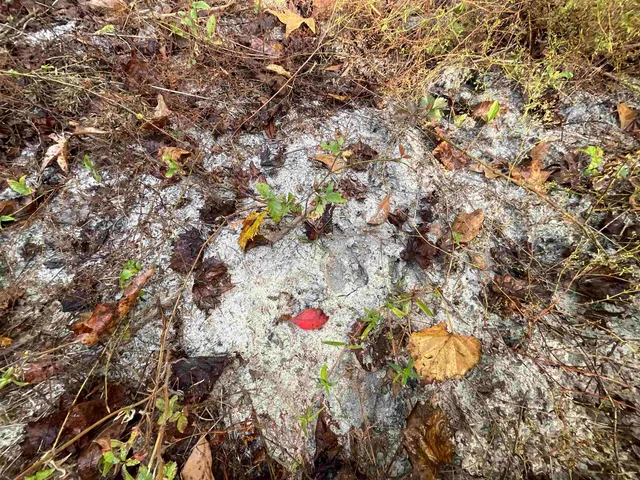 $188,400 | 129 Northwest Jasper, Jasper, FL 32052