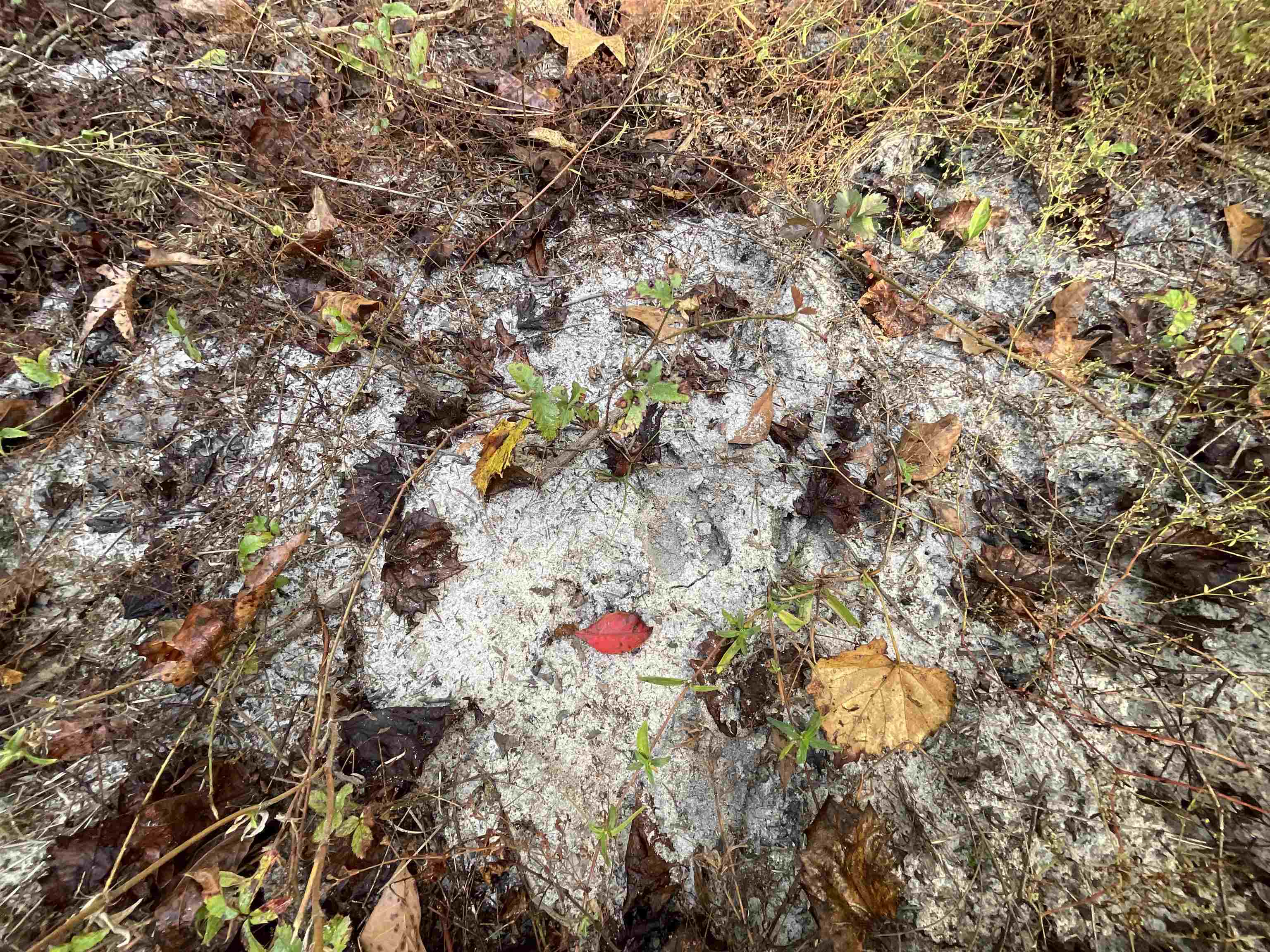 129 Northwest Jasper Jasper, FL 32052 - Photo 25 of 70