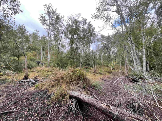 $188,400 | 129 Northwest Jasper, Jasper, FL 32052