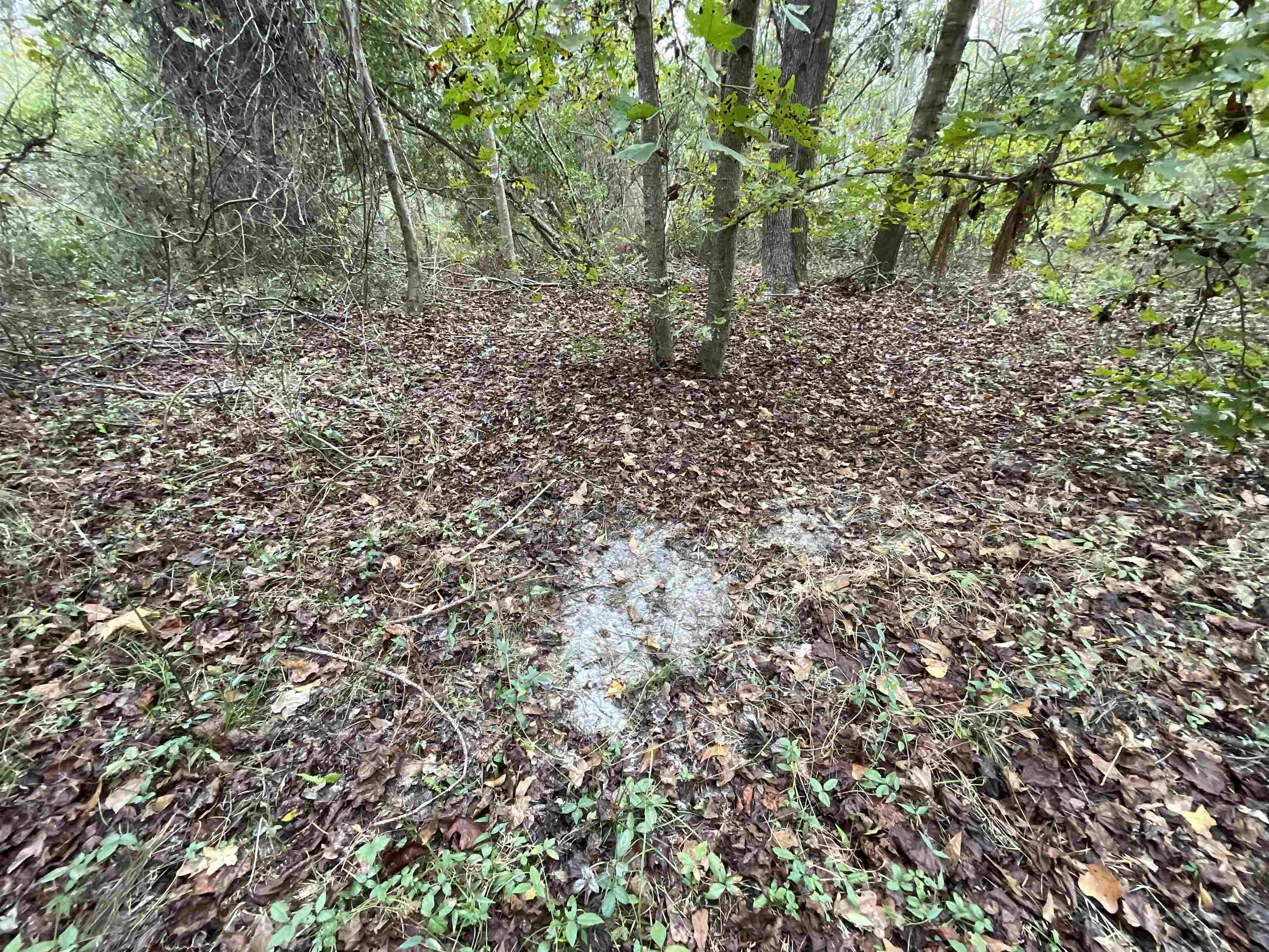 129 Northwest Jasper Jasper, FL 32052 - Photo 27 of 70