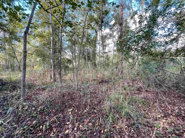 $188,400 | 129 Northwest Jasper, Jasper, FL 32052