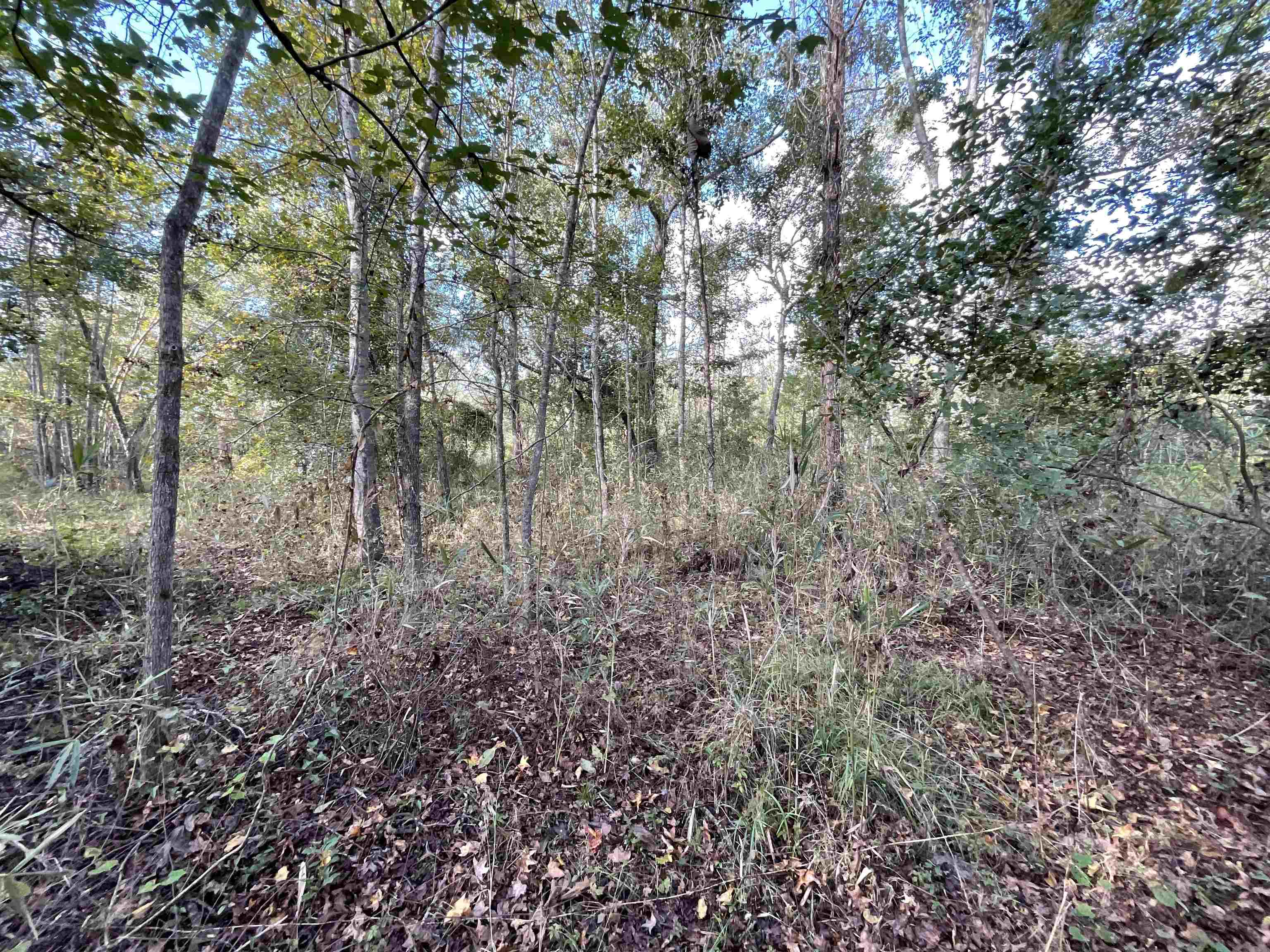 129 Northwest Jasper Jasper, FL 32052 - Photo 28 of 70