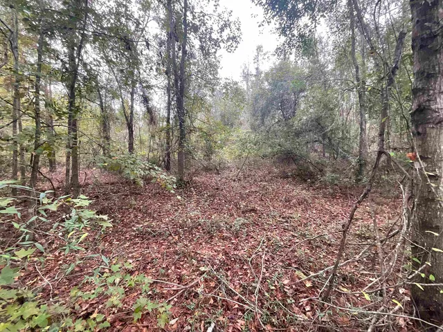 $188,400 | 129 Northwest Jasper, Jasper, FL 32052