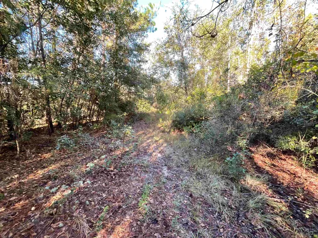 $188,400 | 129 Northwest Jasper, Jasper, FL 32052