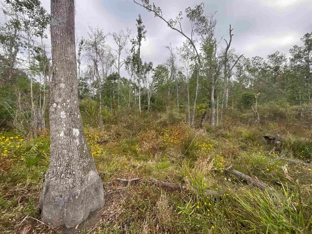 $188,400 | 129 Northwest Jasper, Jasper, FL 32052