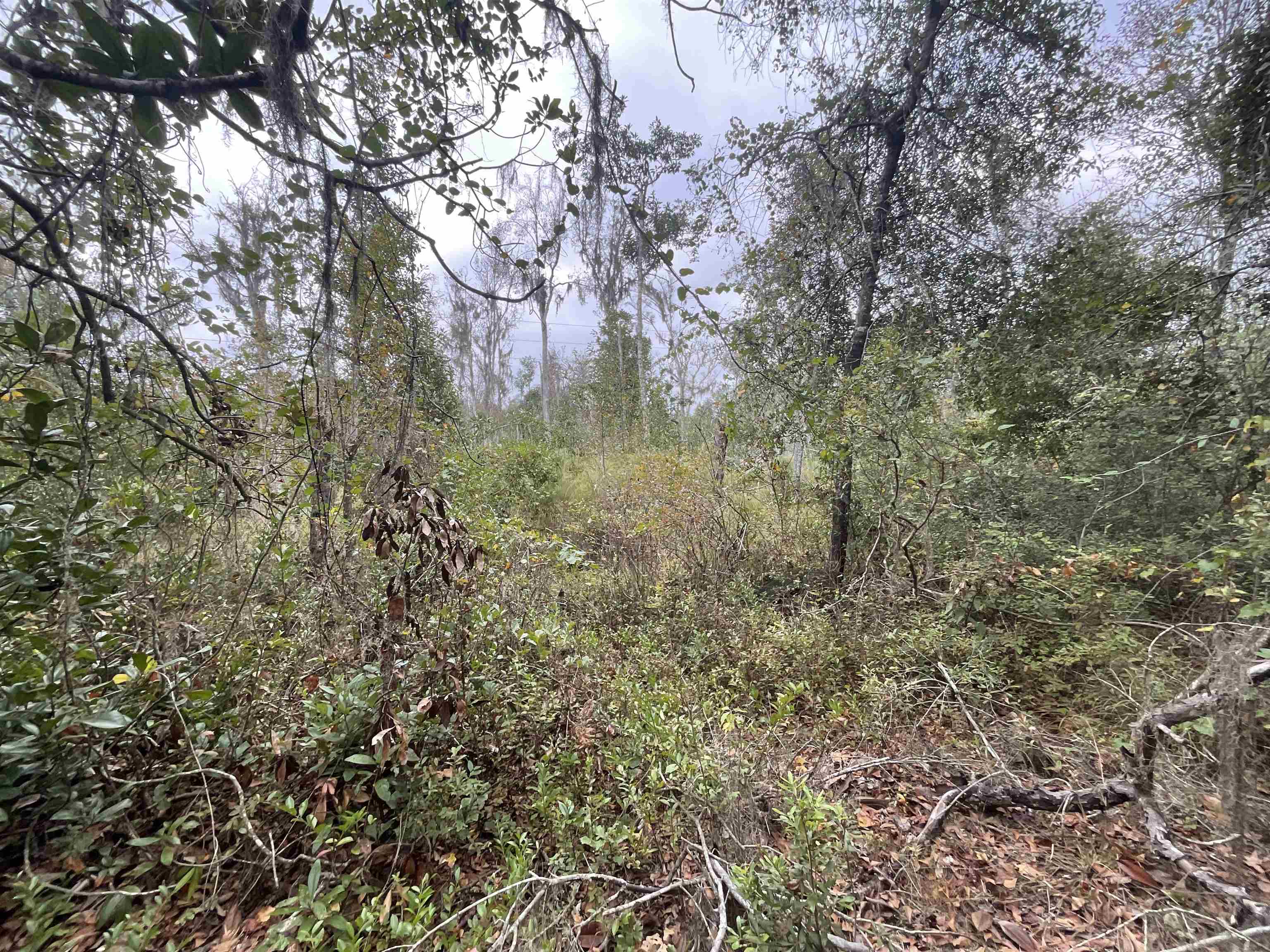 129 Northwest Jasper Jasper, FL 32052 - Photo 33 of 70