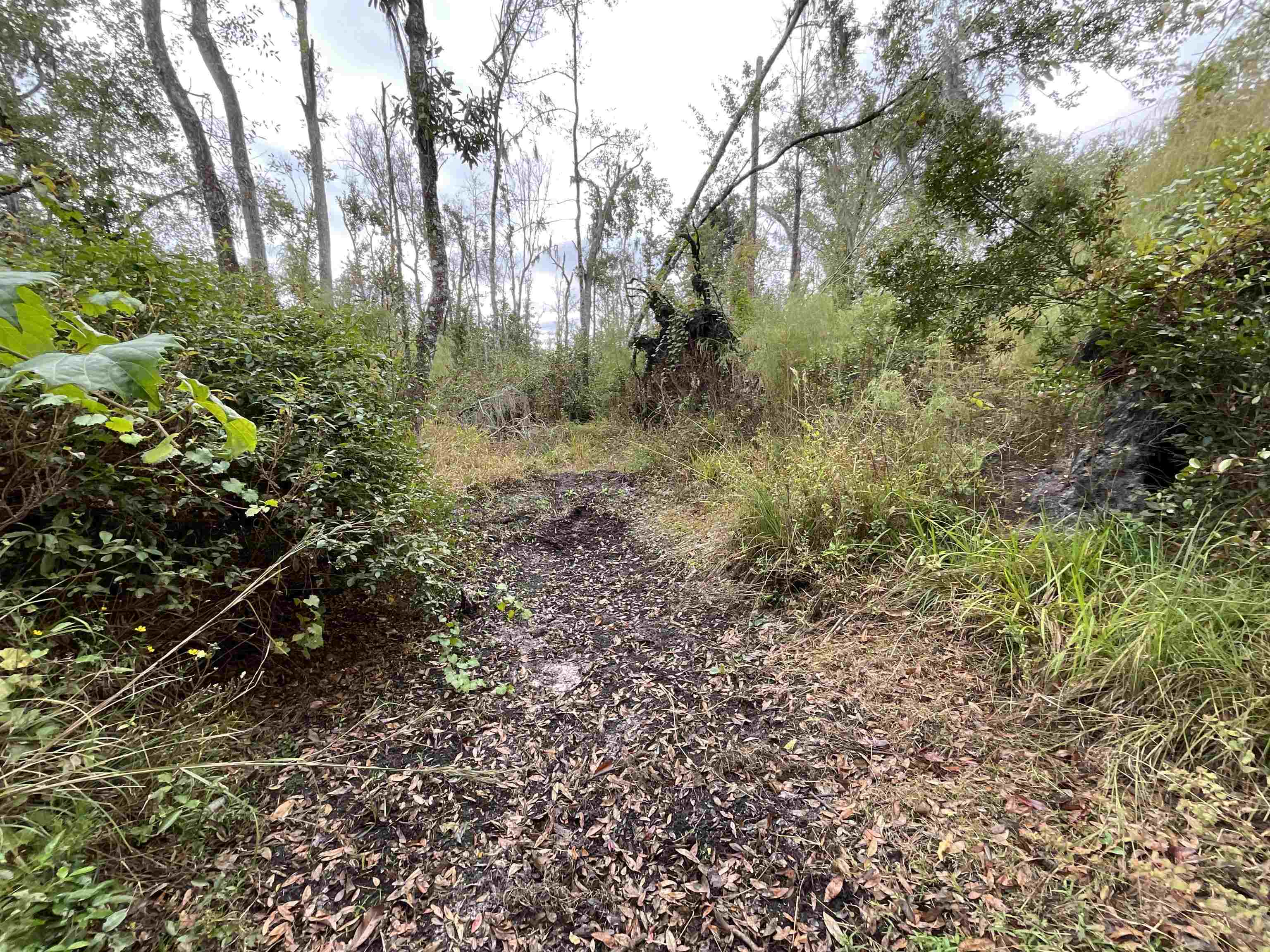 129 Northwest Jasper Jasper, FL 32052 - Photo 34 of 70