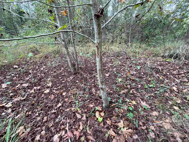 $188,400 | 129 Northwest Jasper, Jasper, FL 32052