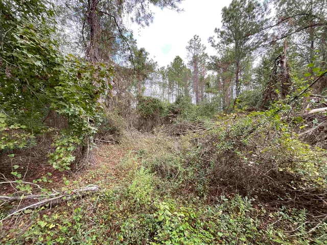 $188,400 | 129 Northwest Jasper, Jasper, FL 32052