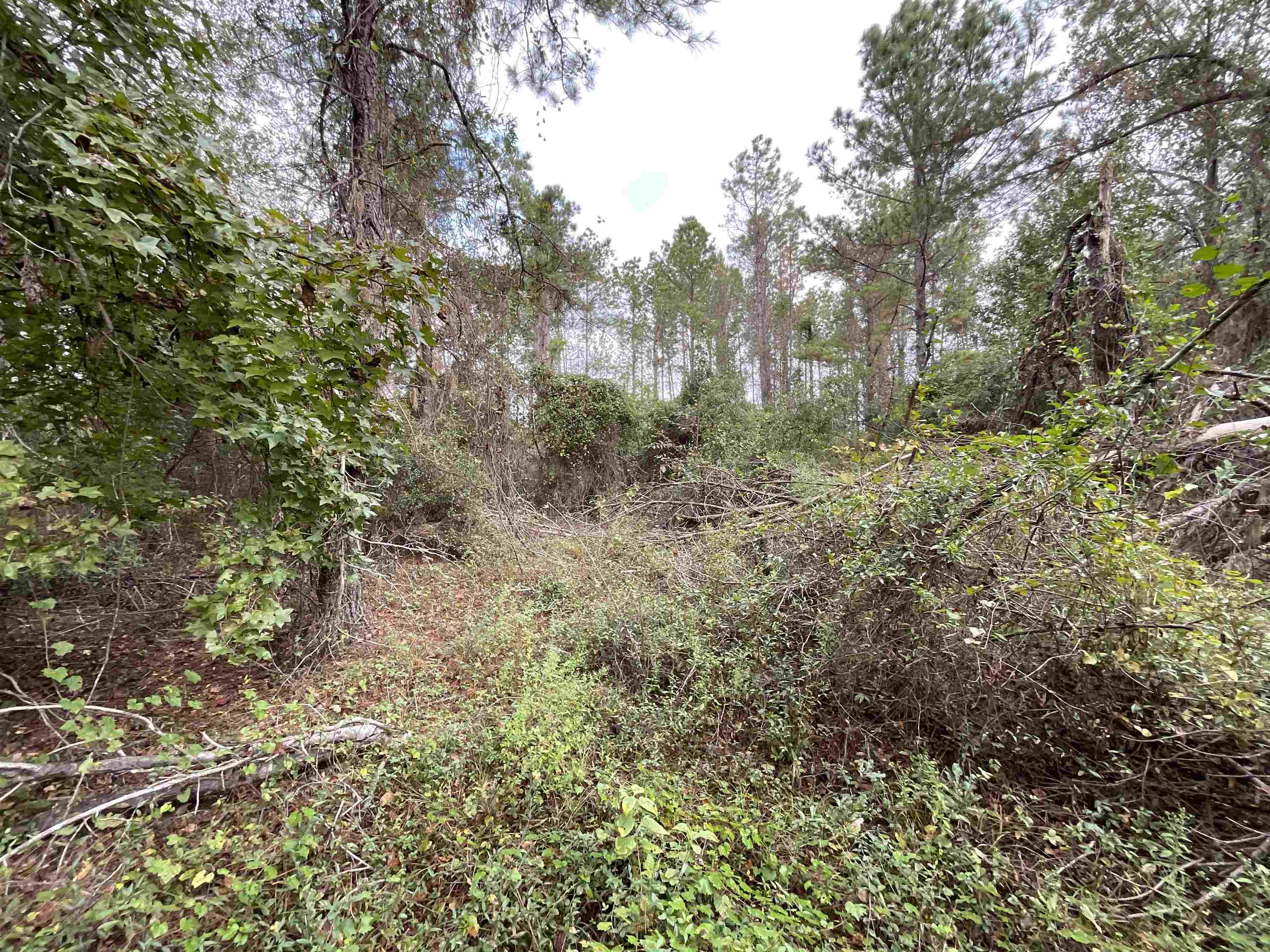 129 Northwest Jasper Jasper, FL 32052 - Photo 36 of 70