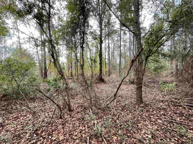 $188,400 | 129 Northwest Jasper, Jasper, FL 32052