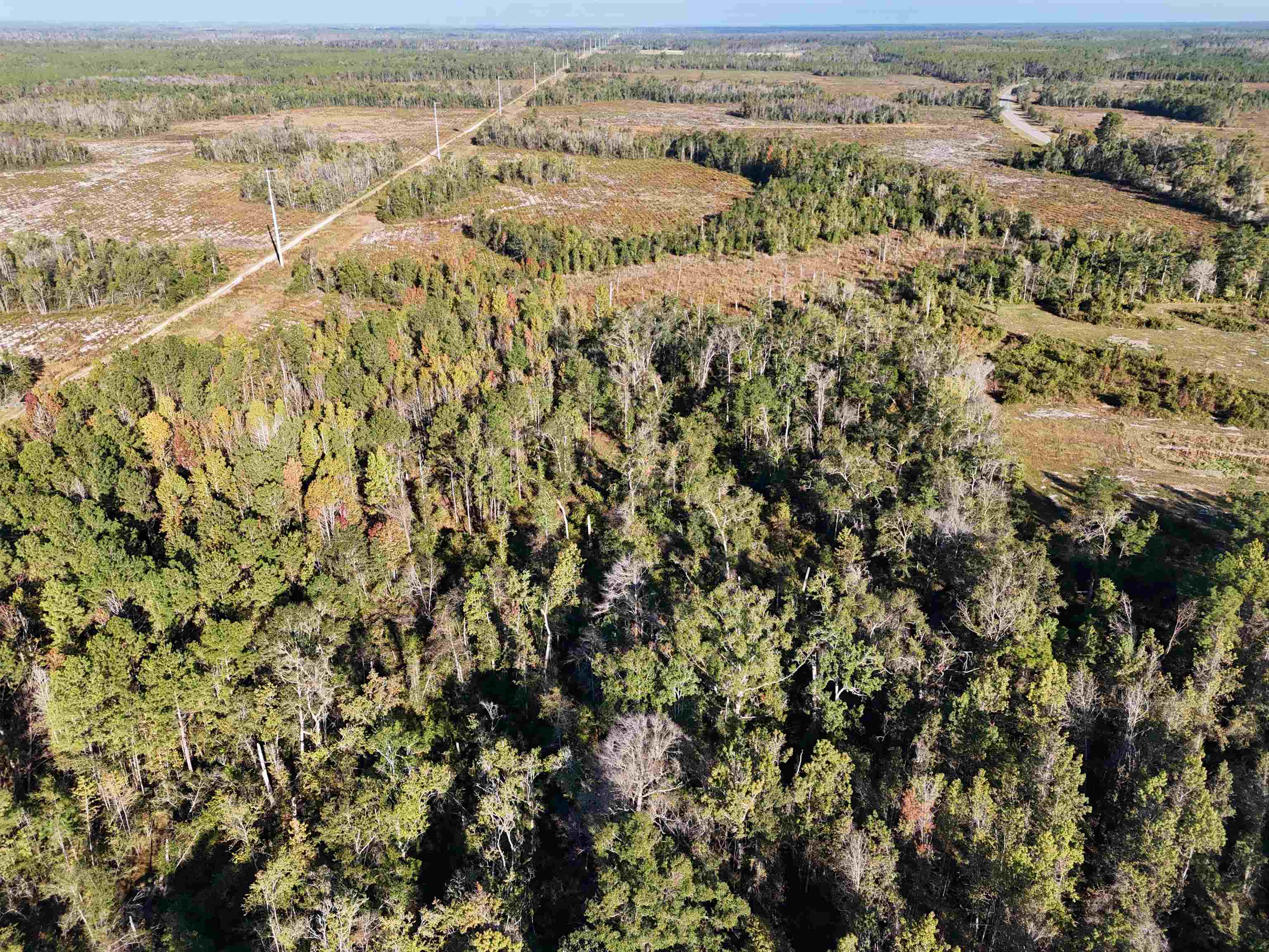 129 Northwest Jasper Jasper, FL 32052 - Photo 39 of 70