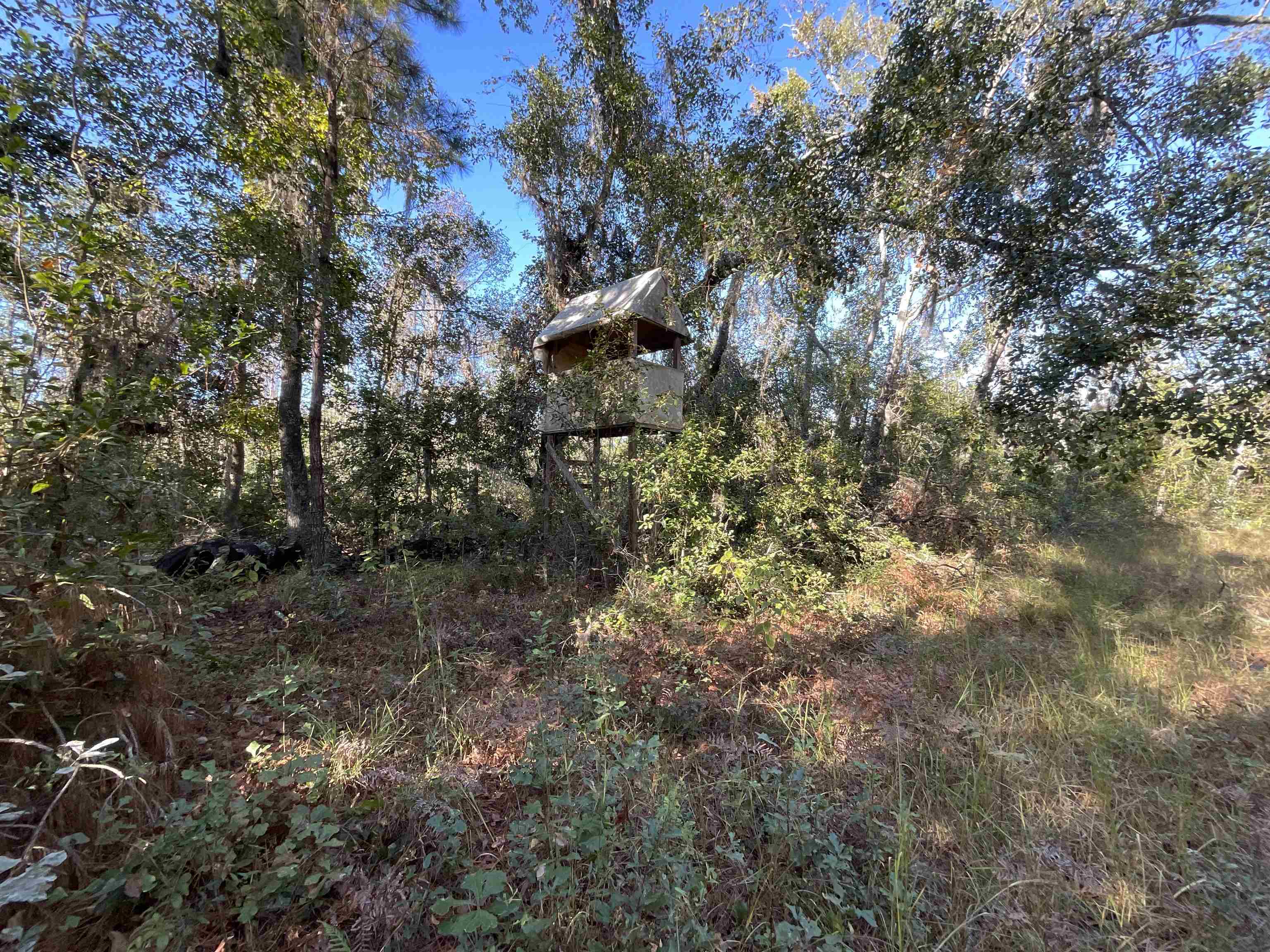 129 Northwest Jasper Jasper, FL 32052 - Photo 4 of 70