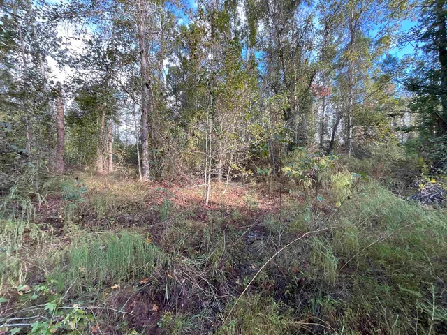 $188,400 | 129 Northwest Jasper, Jasper, FL 32052