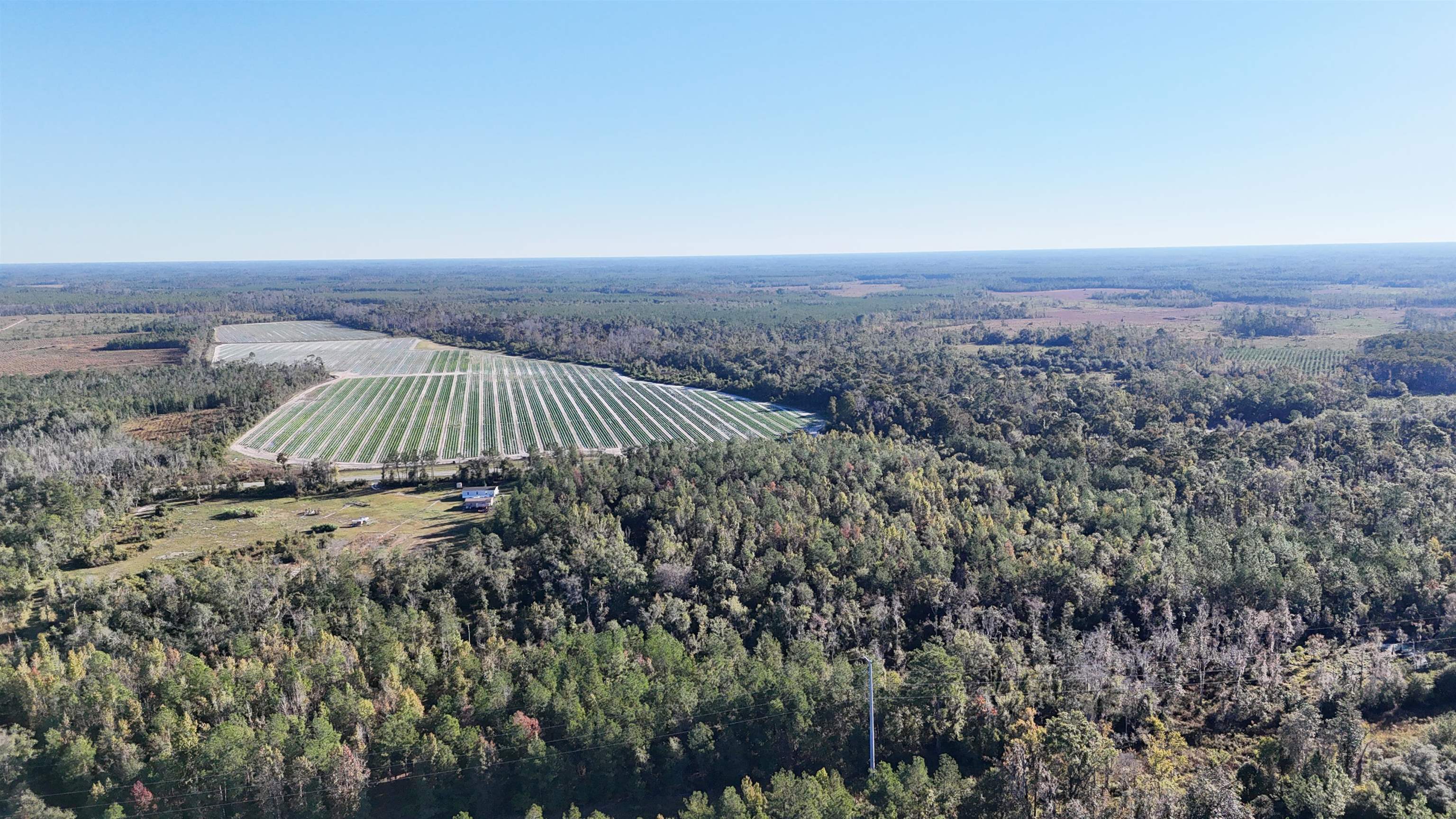 129 Northwest Jasper Jasper, FL 32052 - Photo 42 of 70