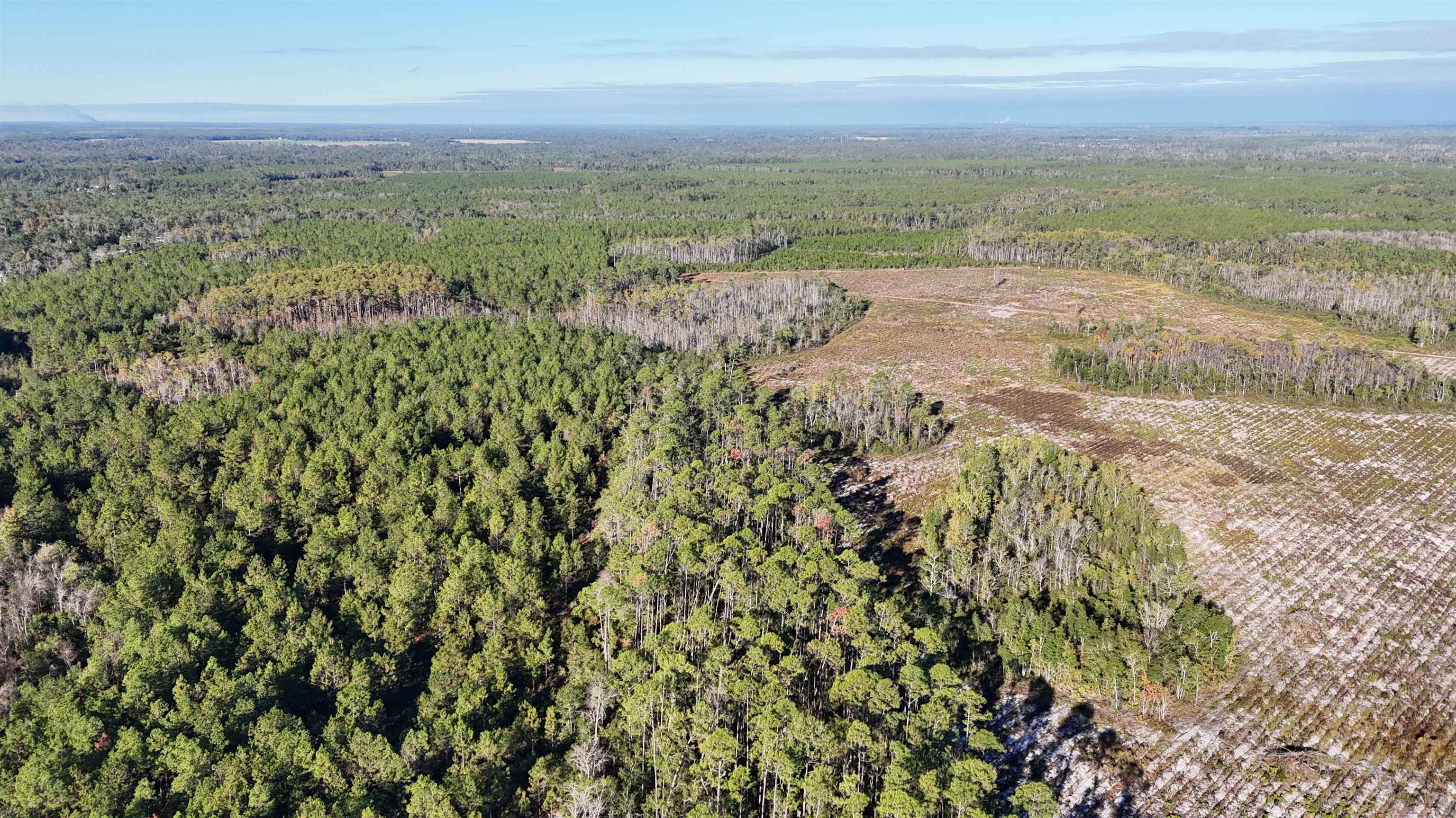 129 Northwest Jasper Jasper, FL 32052 - Photo 43 of 70