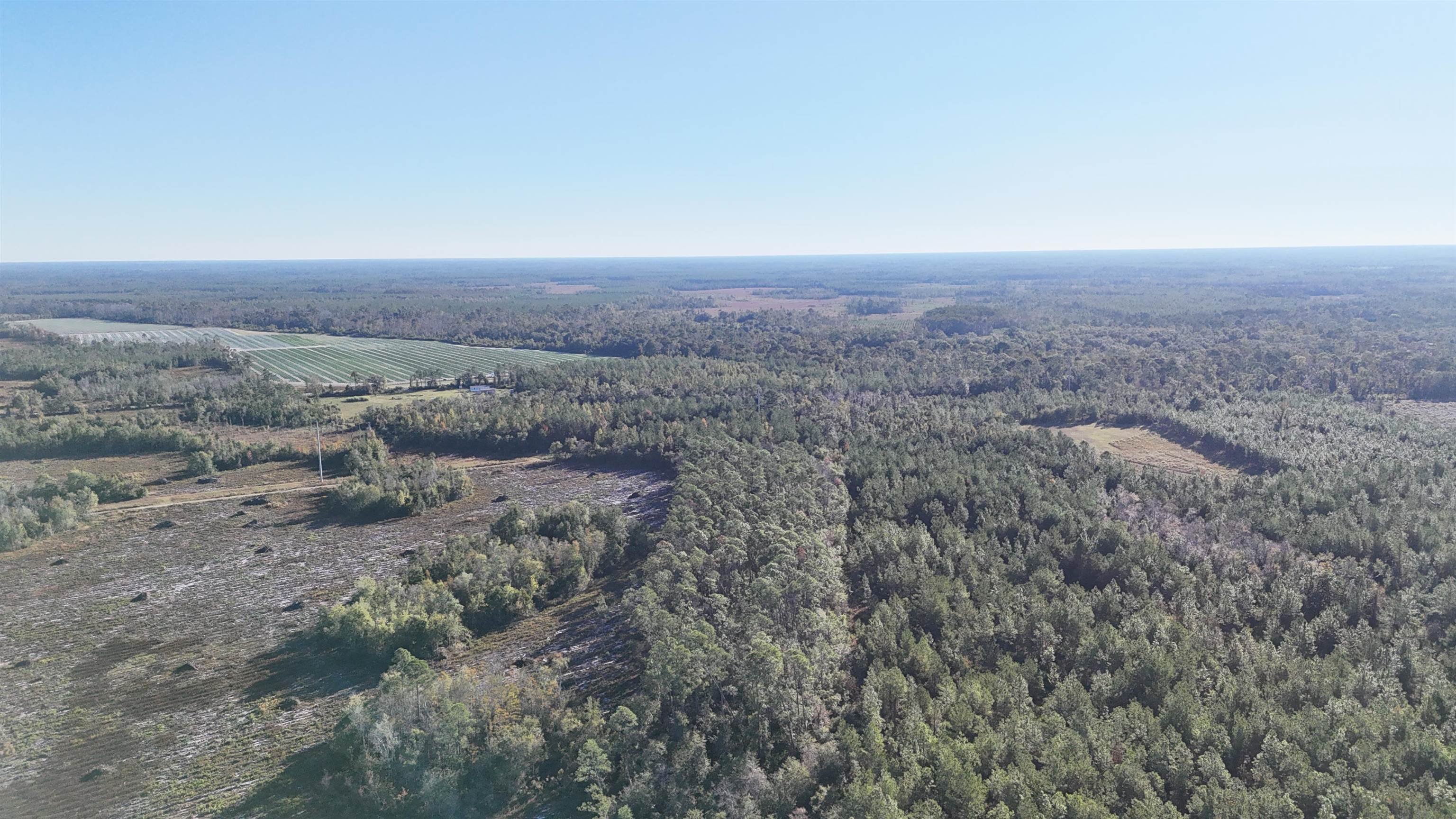 129 Northwest Jasper Jasper, FL 32052 - Photo 44 of 70