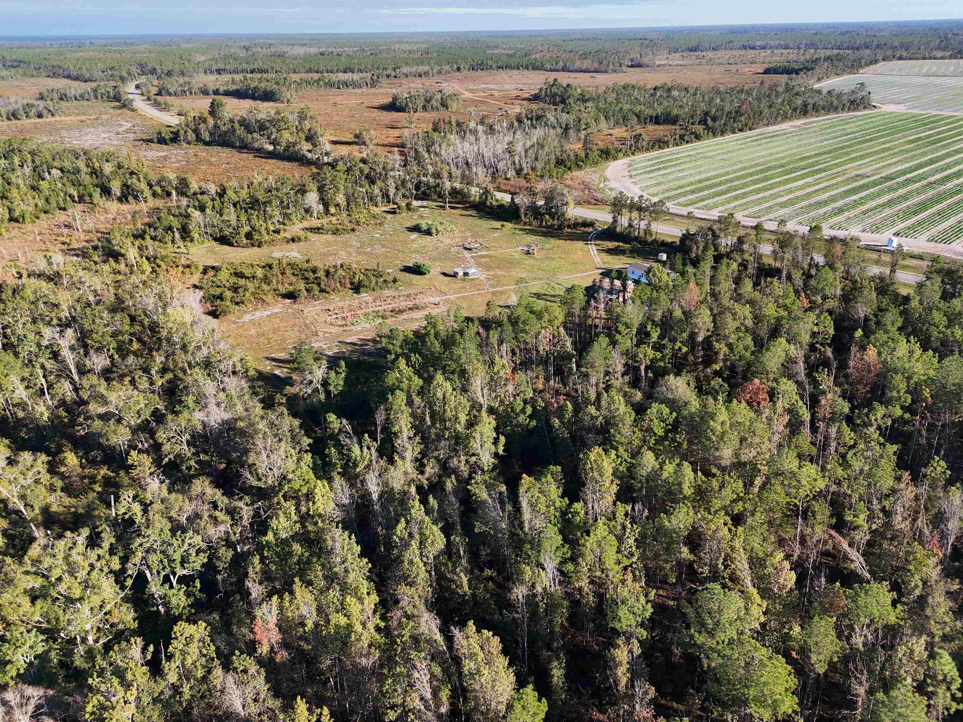 129 Northwest Jasper Jasper, FL 32052 - Photo 45 of 70