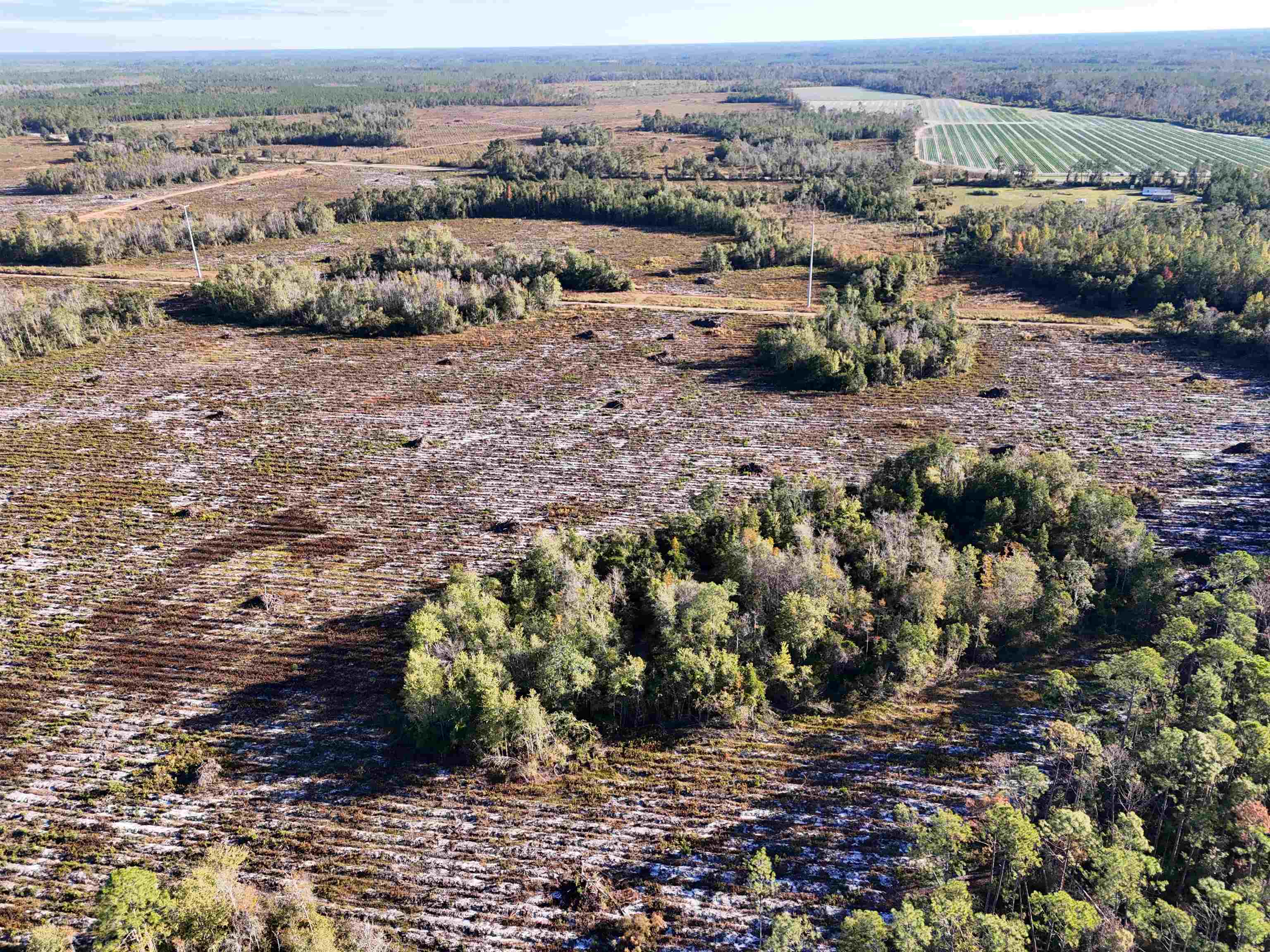 129 Northwest Jasper Jasper, FL 32052 - Photo 46 of 70