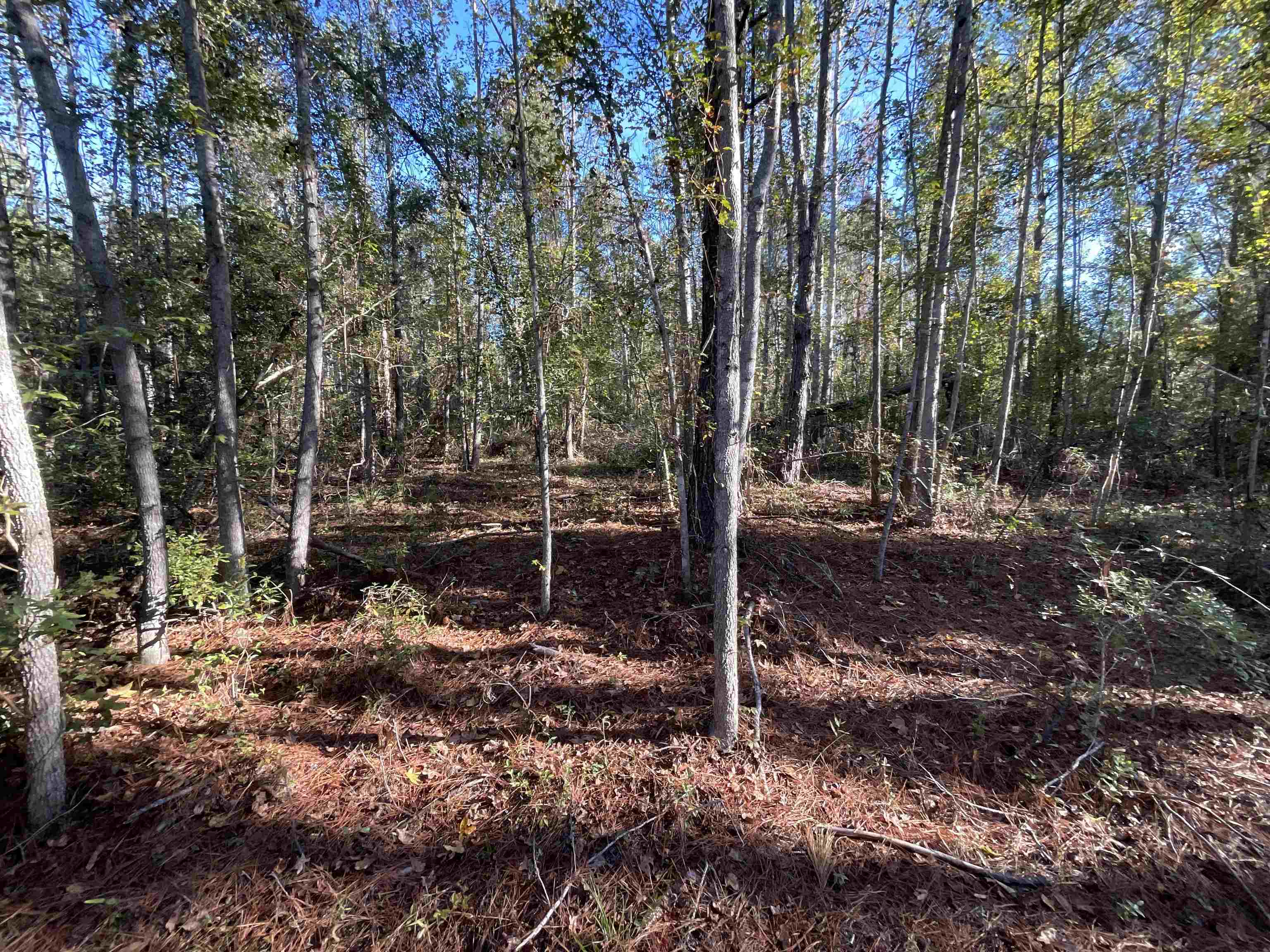 129 Northwest Jasper Jasper, FL 32052 - Photo 48 of 70