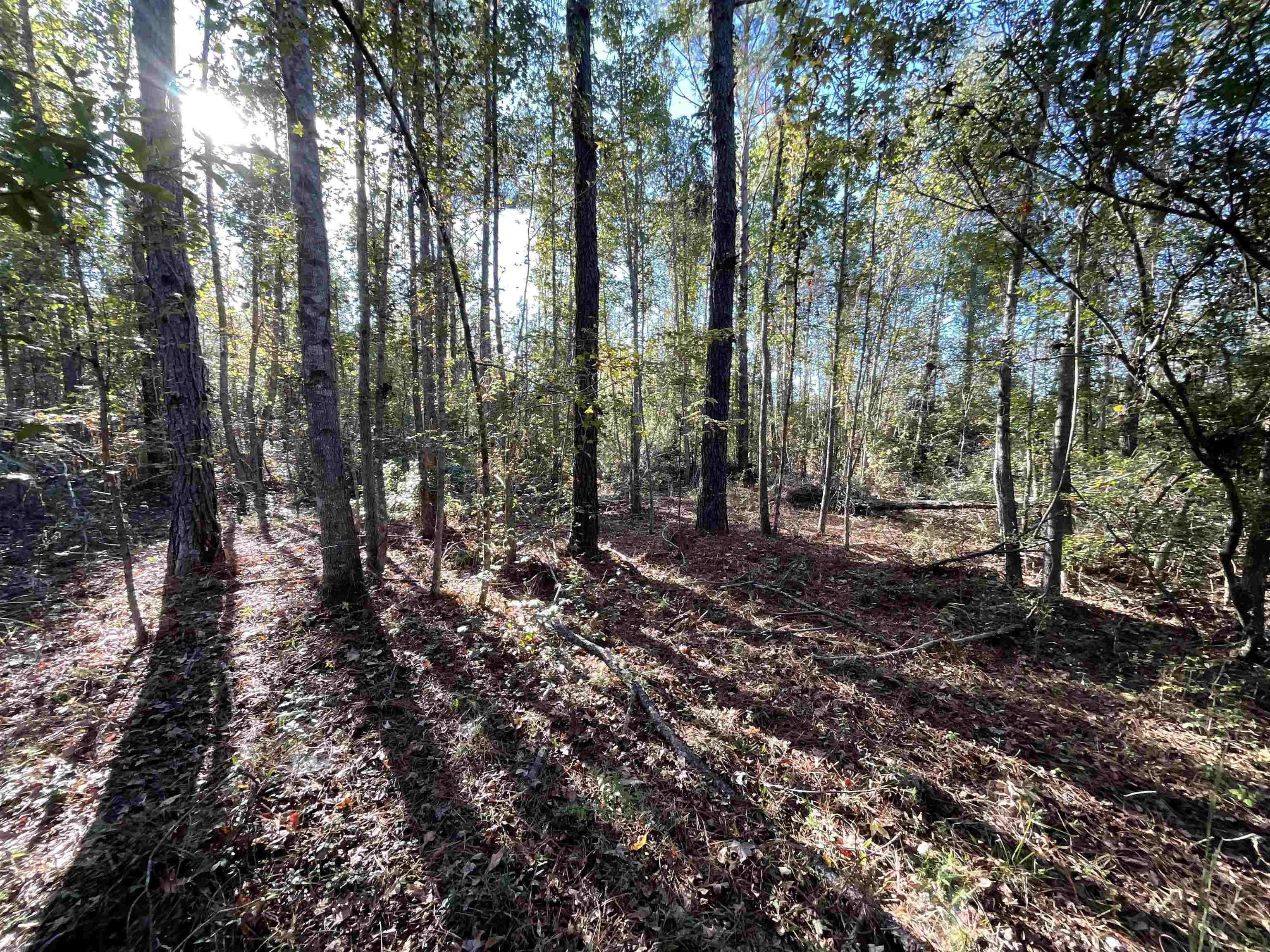 129 Northwest Jasper Jasper, FL 32052 - Photo 49 of 70