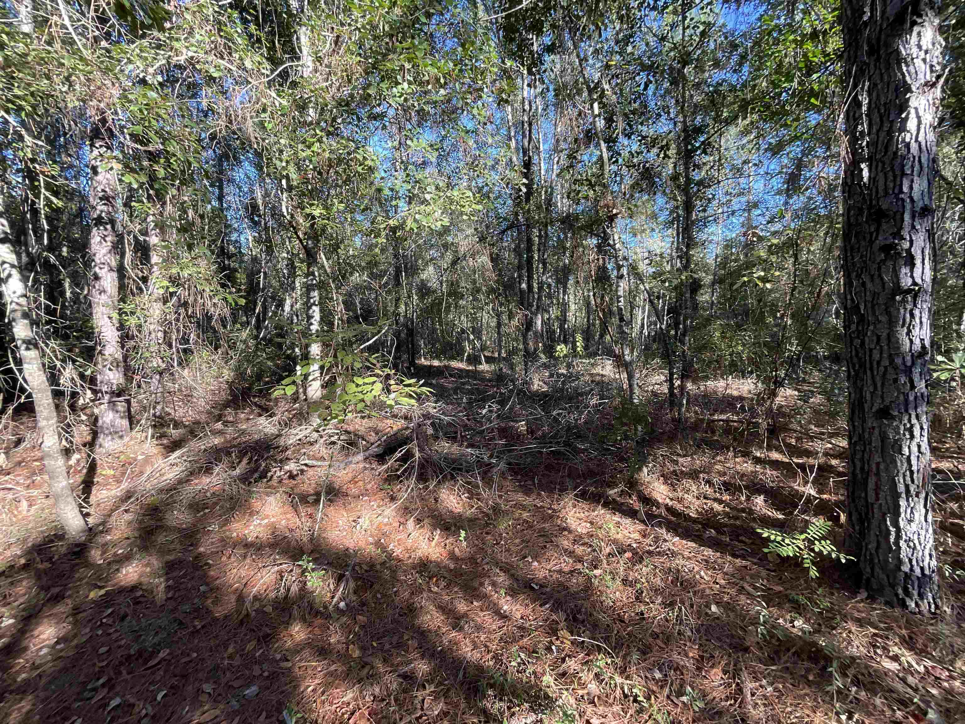 129 Northwest Jasper Jasper, FL 32052 - Photo 50 of 70