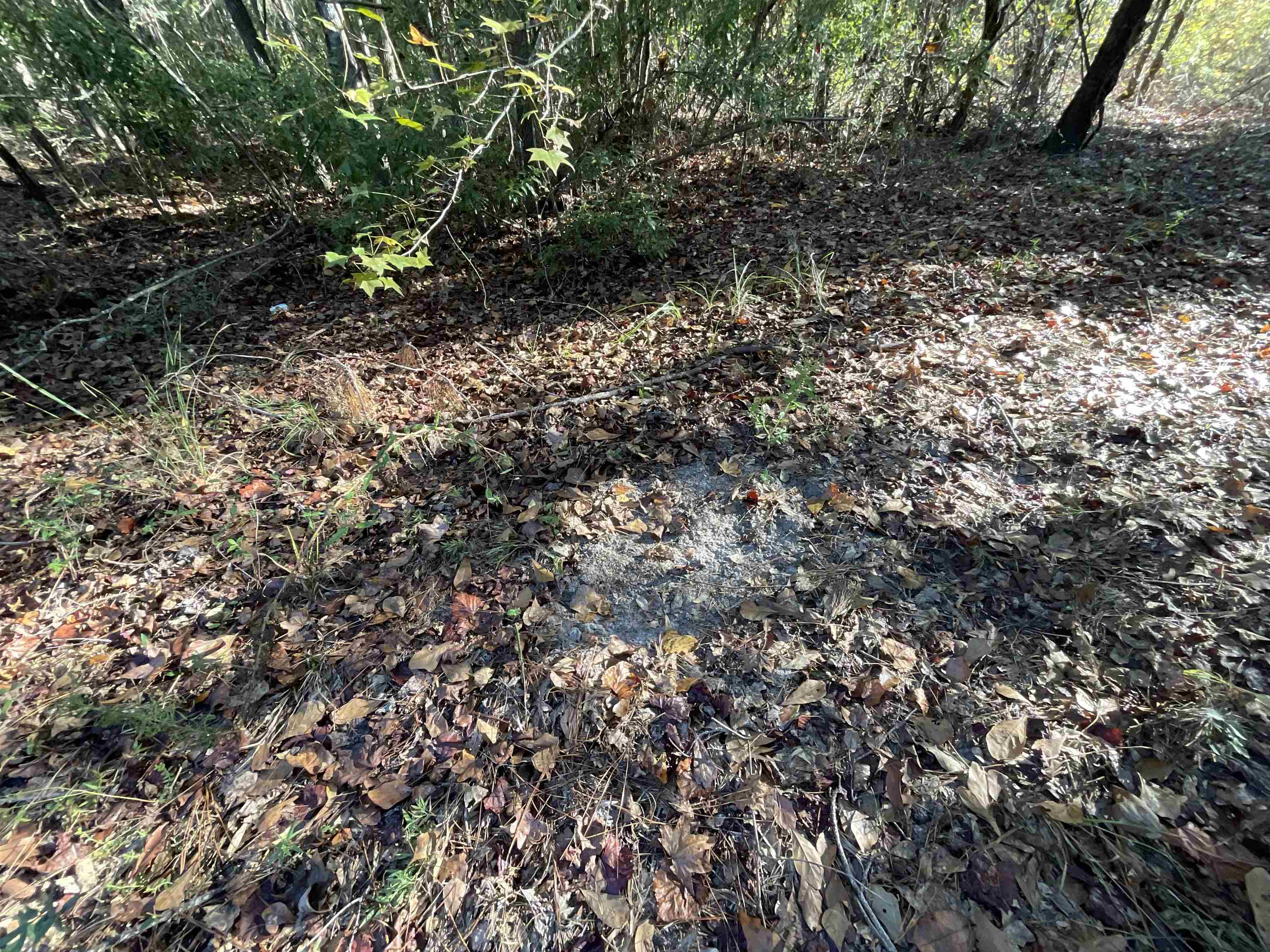 129 Northwest Jasper Jasper, FL 32052 - Photo 5 of 70