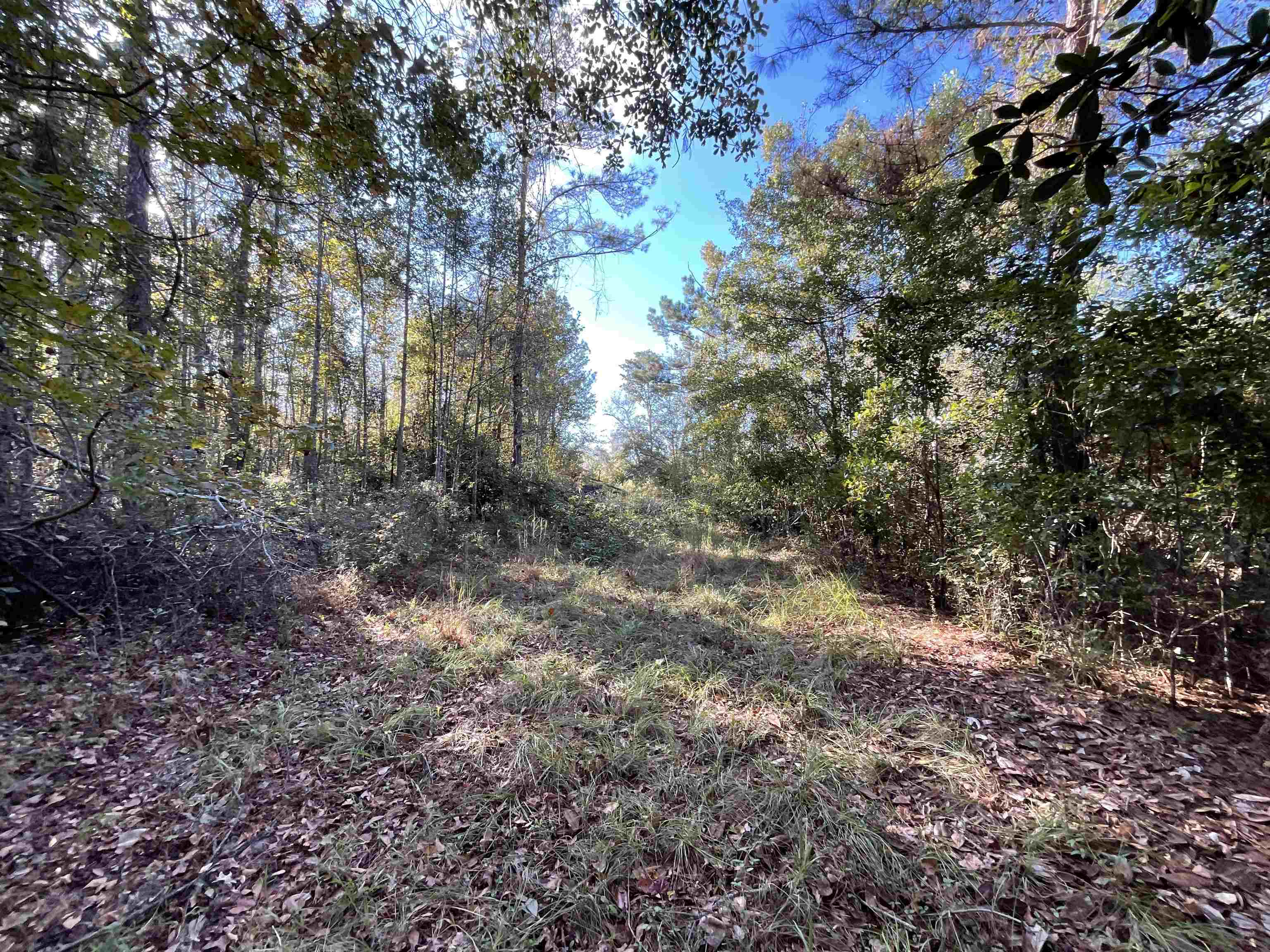 129 Northwest Jasper Jasper, FL 32052 - Photo 51 of 70