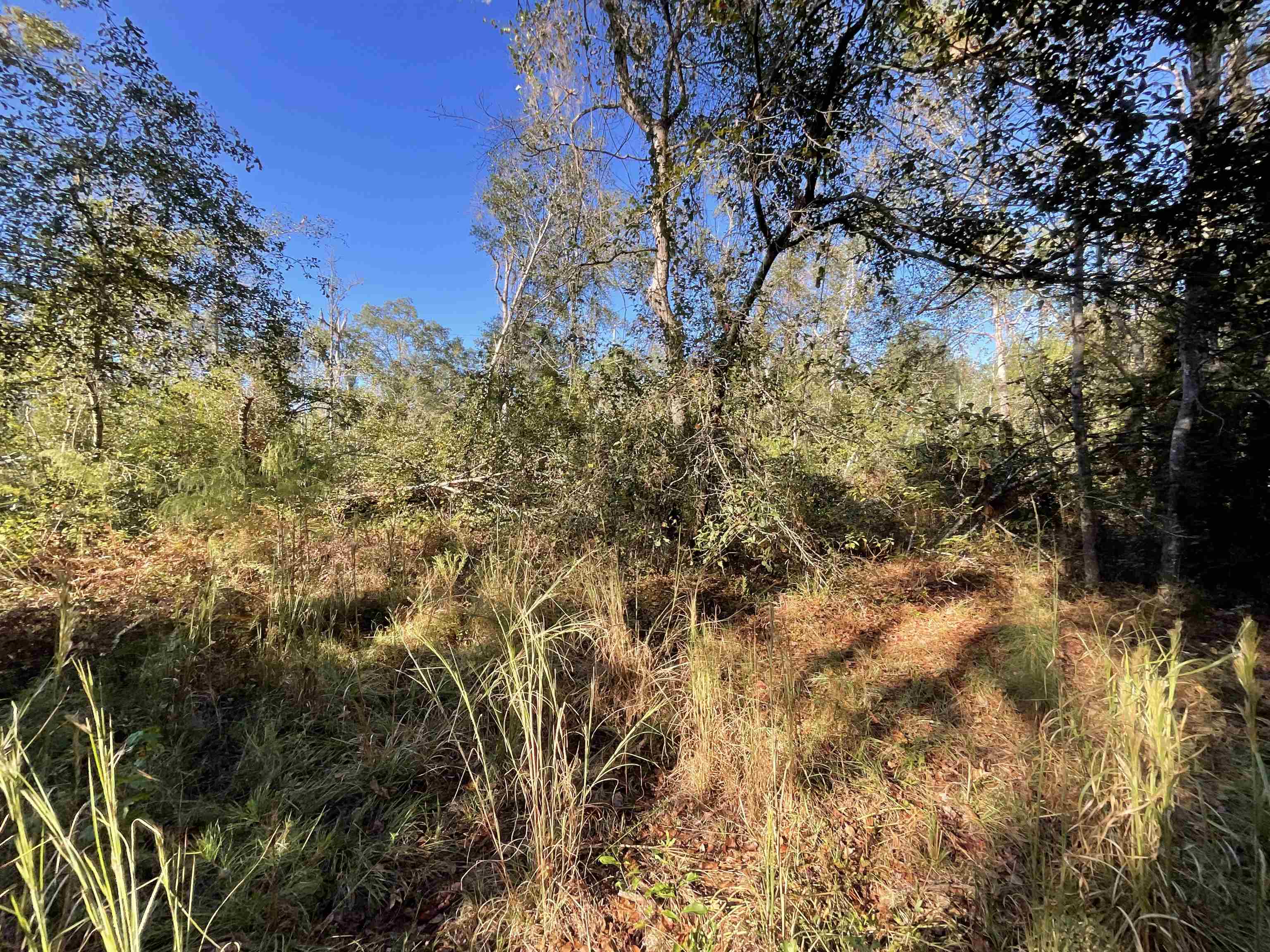 129 Northwest Jasper Jasper, FL 32052 - Photo 52 of 70