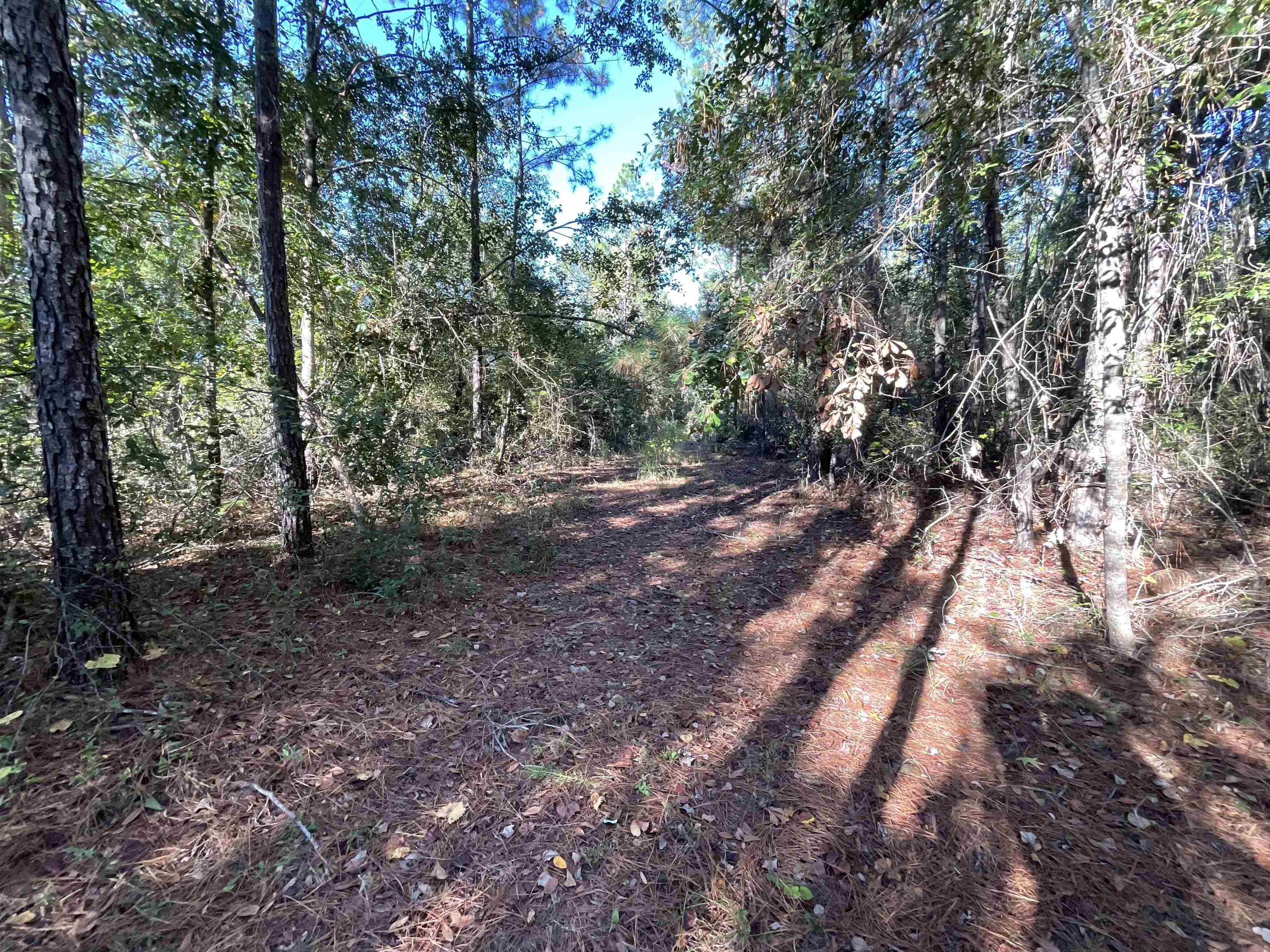 129 Northwest Jasper Jasper, FL 32052 - Photo 53 of 70