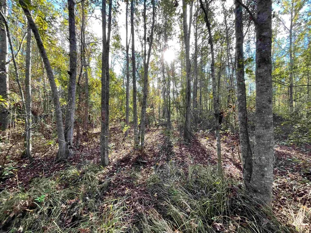 $188,400 | 129 Northwest Jasper, Jasper, FL 32052