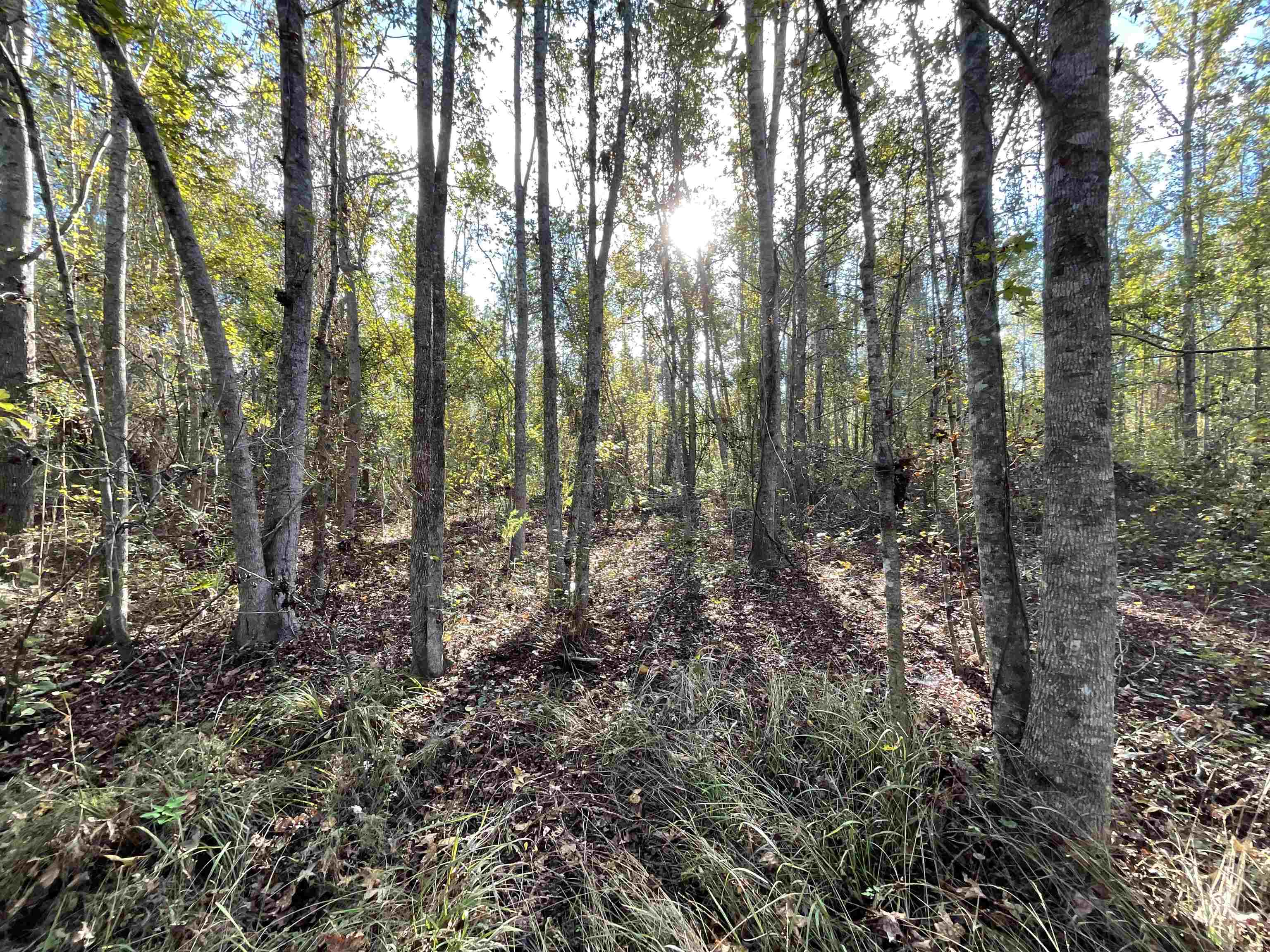 129 Northwest Jasper Jasper, FL 32052 - Photo 54 of 70