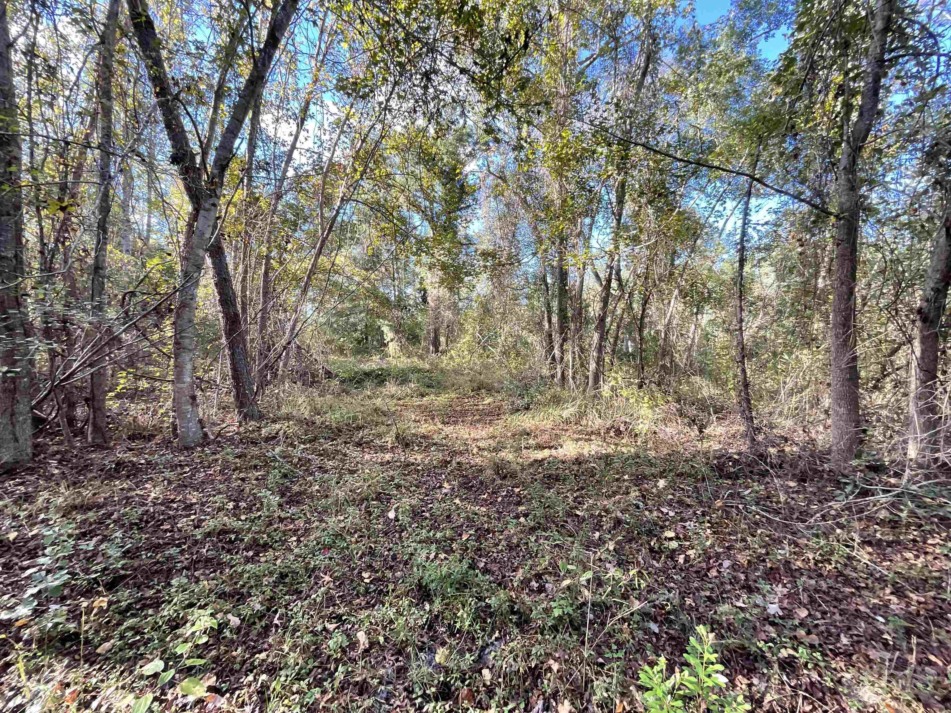 129 Northwest Jasper Jasper, FL 32052 - Photo 55 of 70