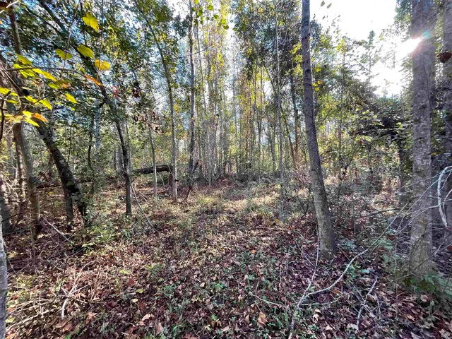 $188,400 | 129 Northwest Jasper, Jasper, FL 32052