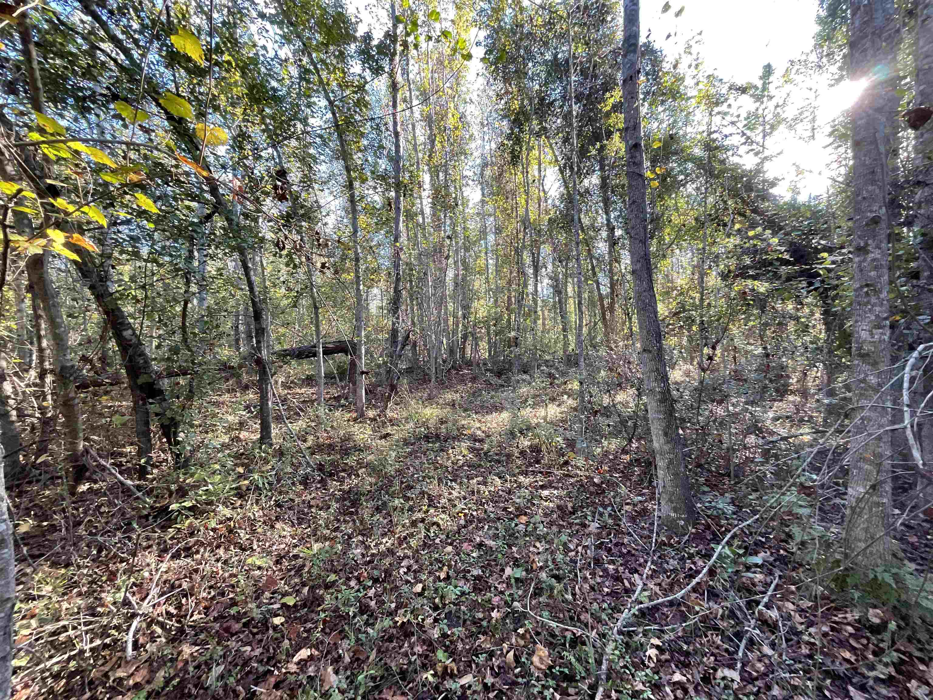 129 Northwest Jasper Jasper, FL 32052 - Photo 56 of 70