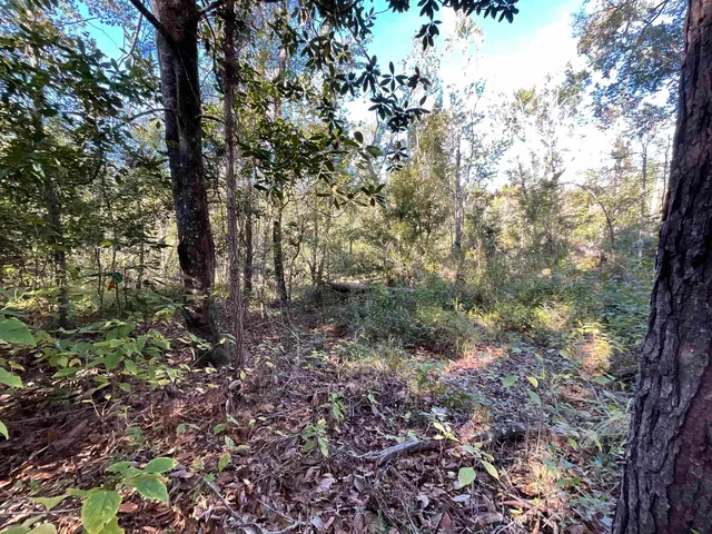 $188,400 | 129 Northwest Jasper, Jasper, FL 32052