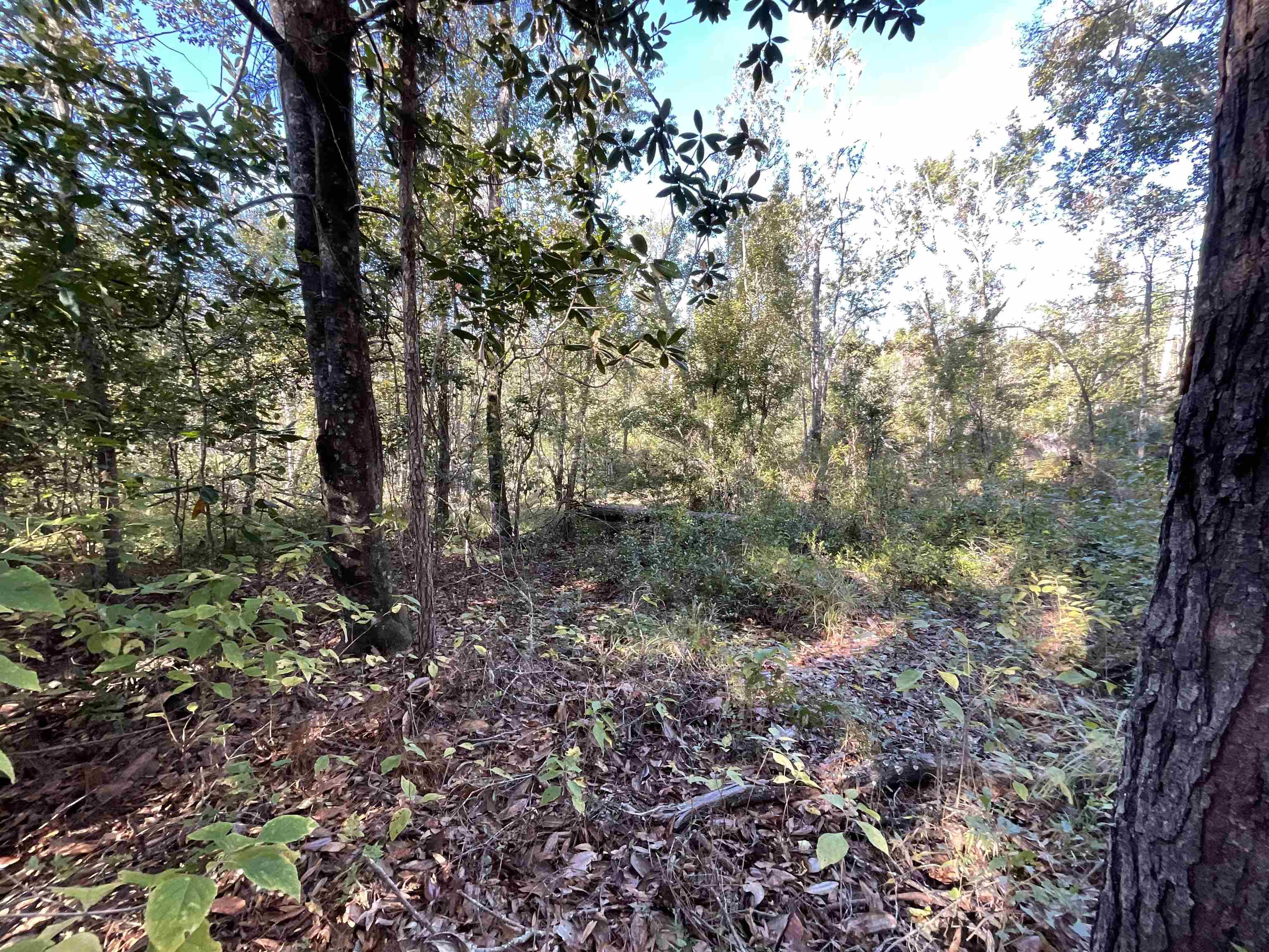 129 Northwest Jasper Jasper, FL 32052 - Photo 57 of 70