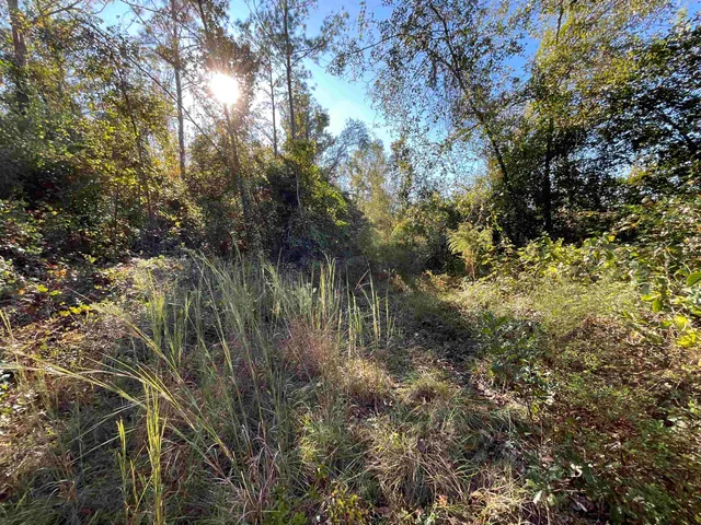 $188,400 | 129 Northwest Jasper, Jasper, FL 32052