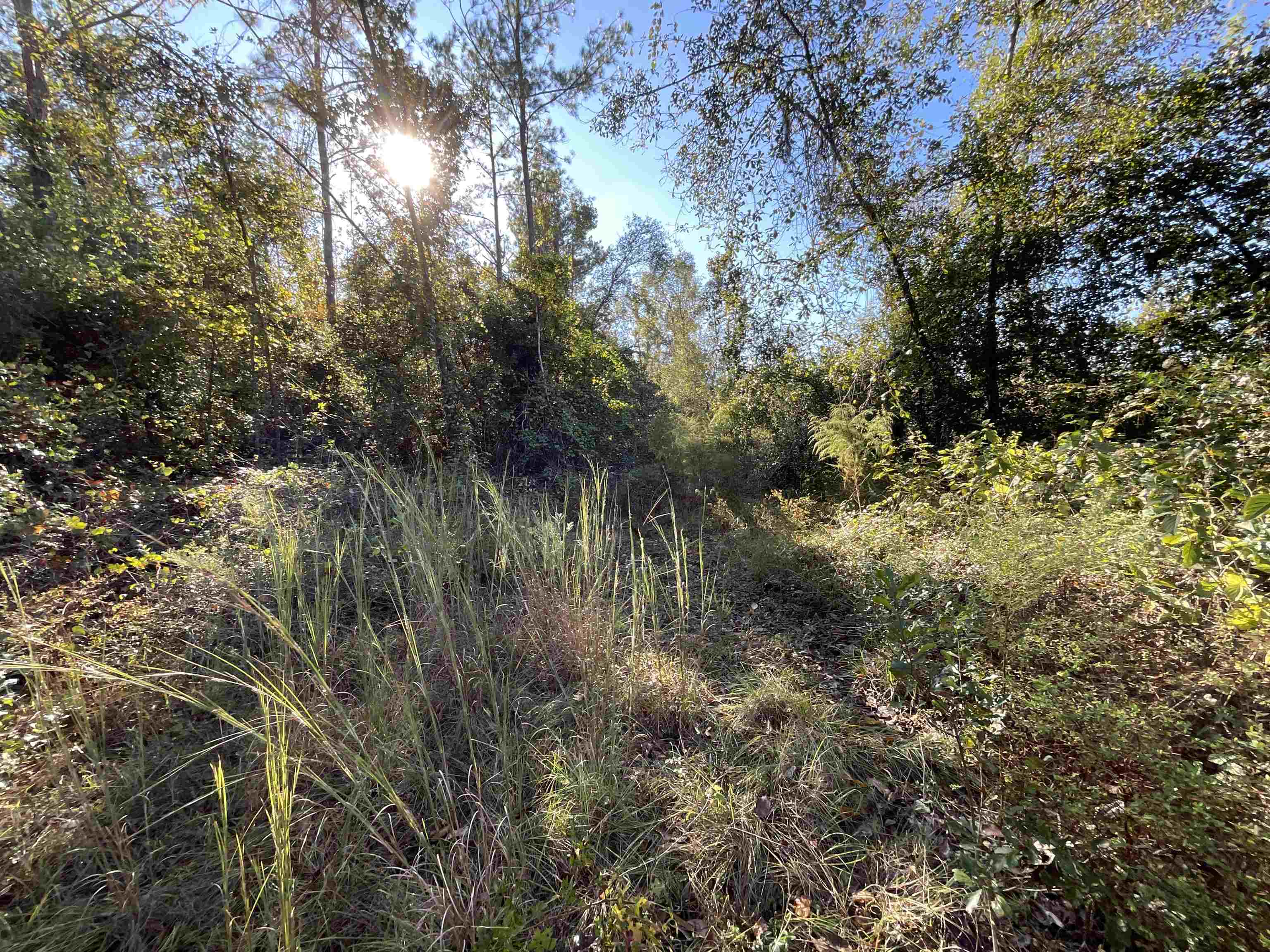 129 Northwest Jasper Jasper, FL 32052 - Photo 58 of 70