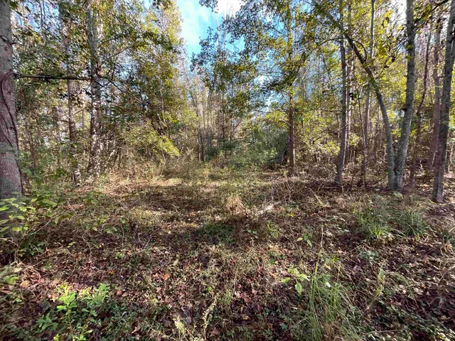 $188,400 | 129 Northwest Jasper, Jasper, FL 32052