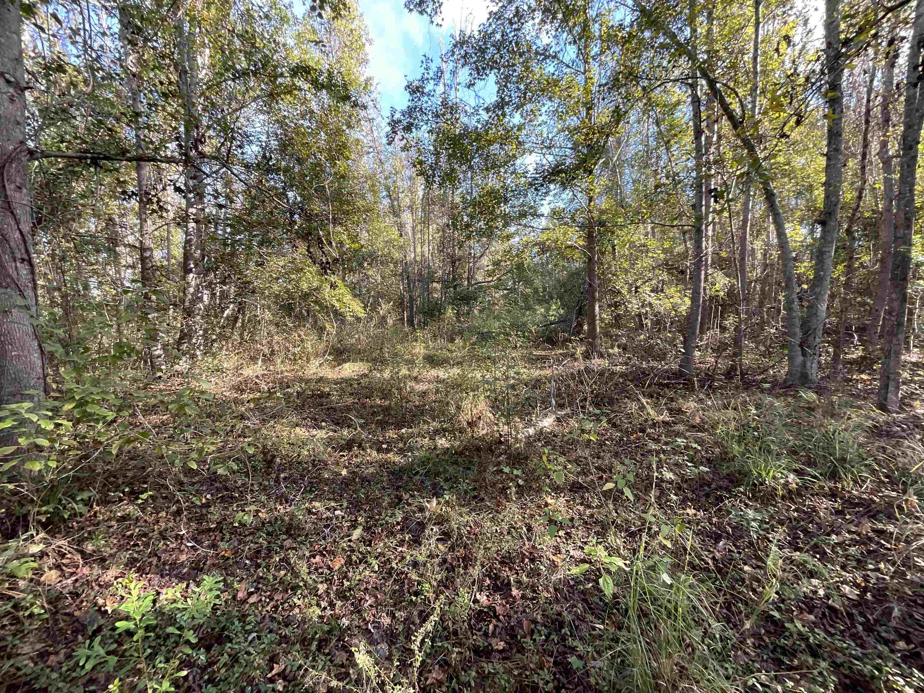 129 Northwest Jasper Jasper, FL 32052 - Photo 59 of 70