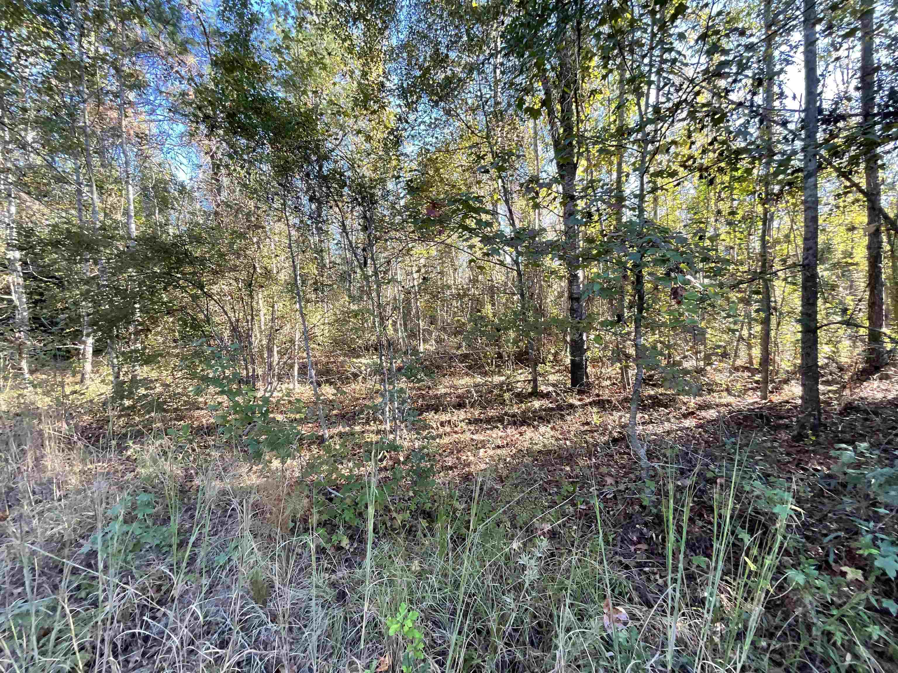 129 Northwest Jasper Jasper, FL 32052 - Photo 60 of 70