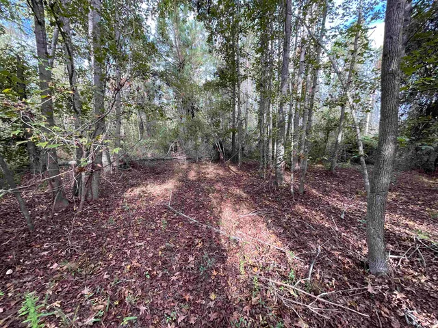 $188,400 | 129 Northwest Jasper, Jasper, FL 32052